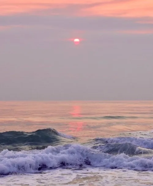 PSΛICO OnlyFans header