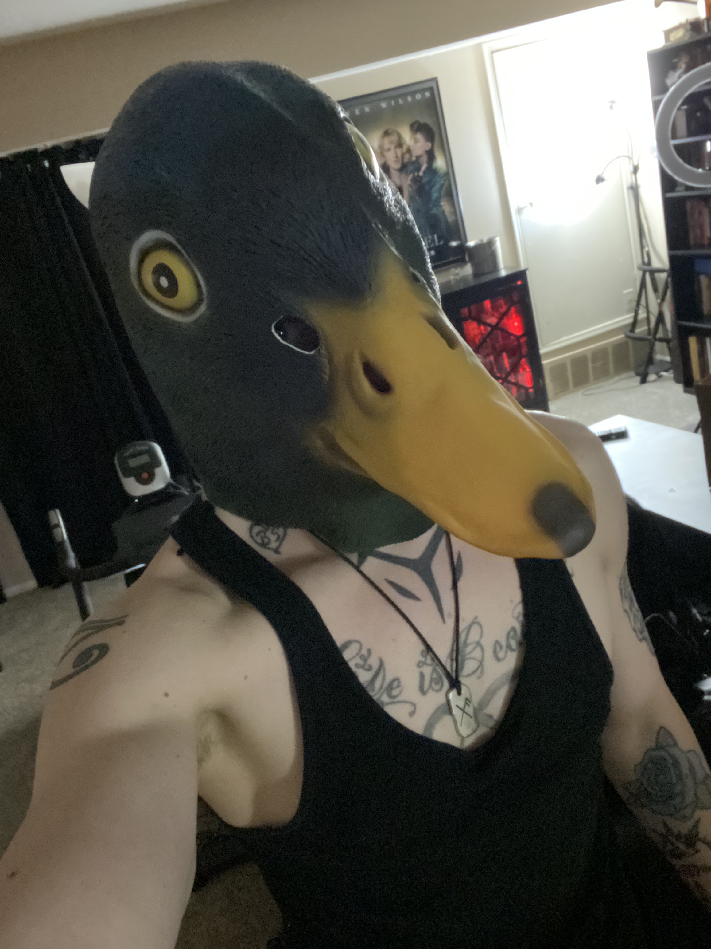 Jay D Quackers OnlyFans