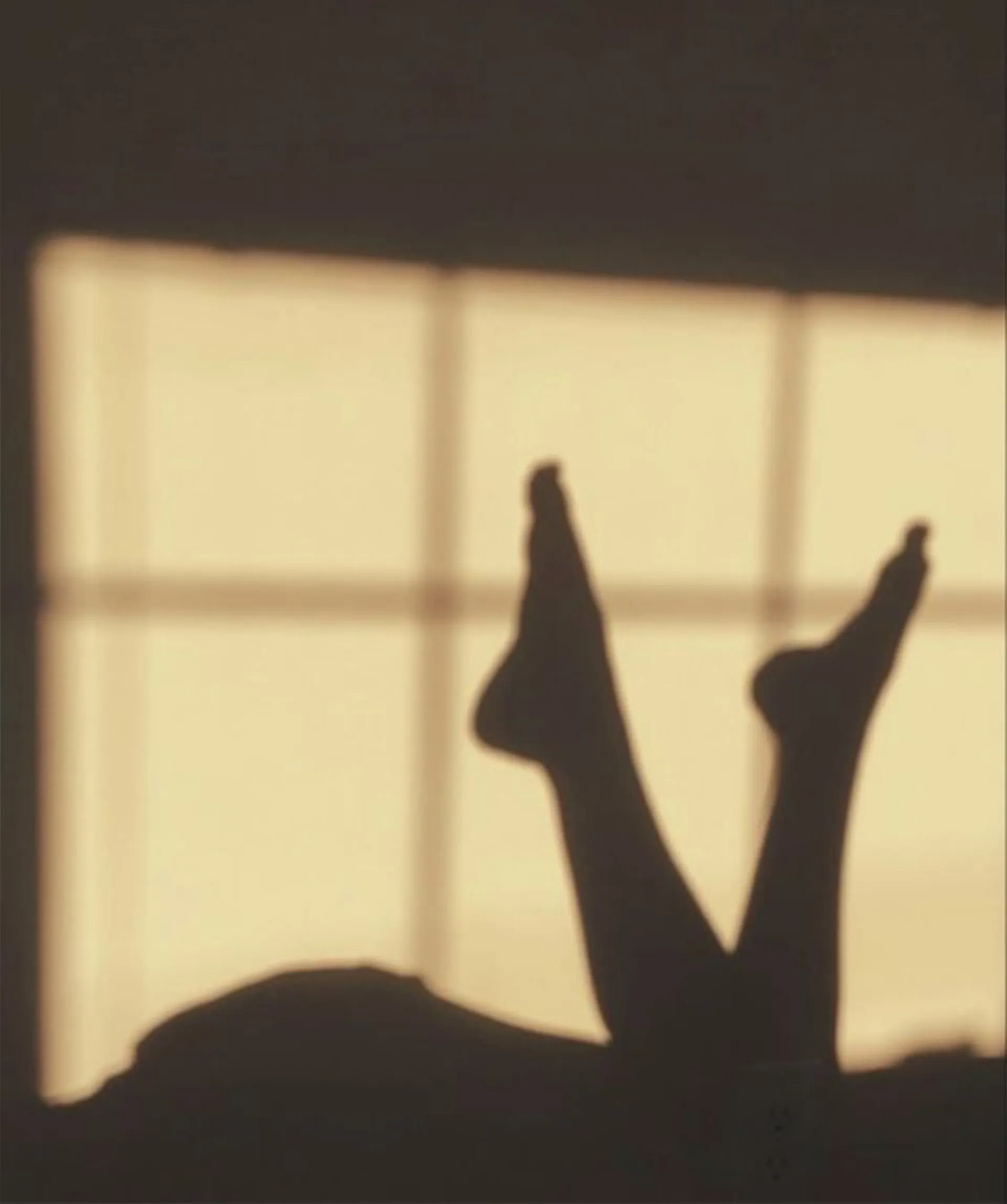 Rachel OnlyFans header