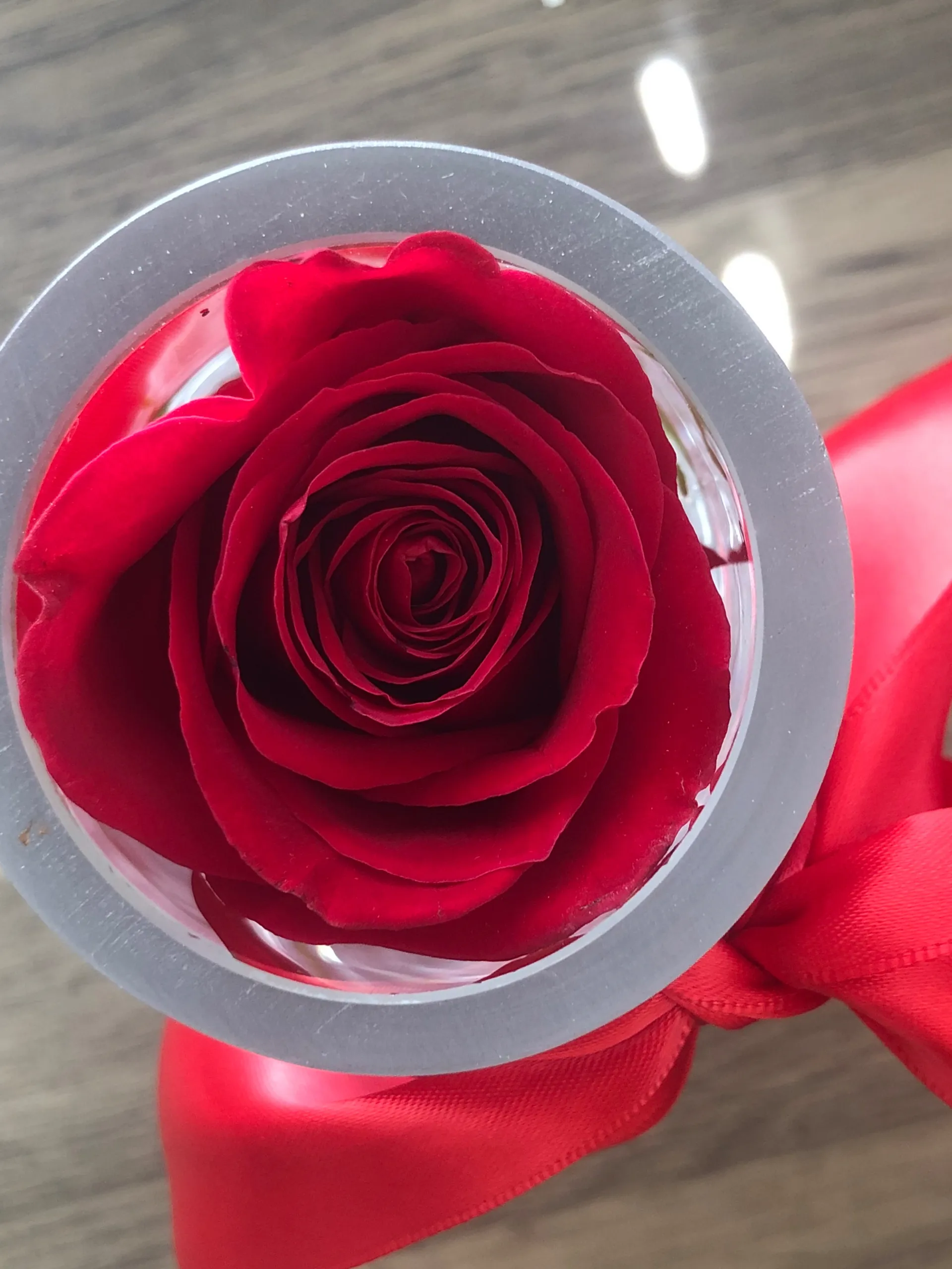 SkySky! OnlyFans header