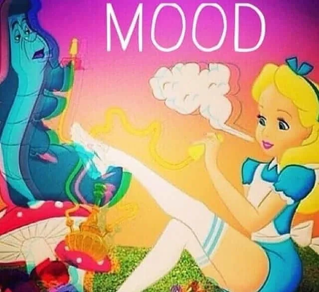 Stoner Beauty Feet OnlyFans header