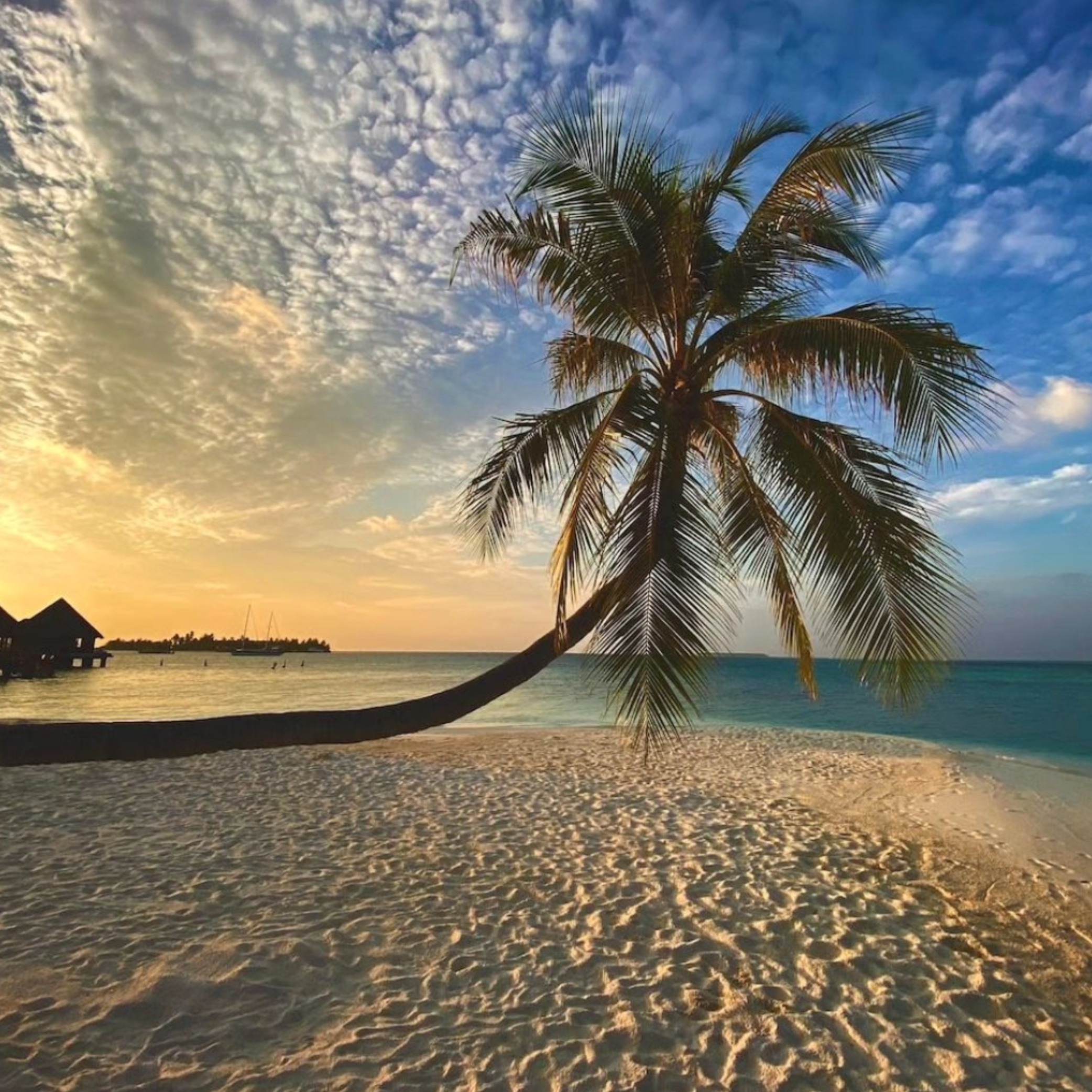 Hustlink Company OnlyFans header