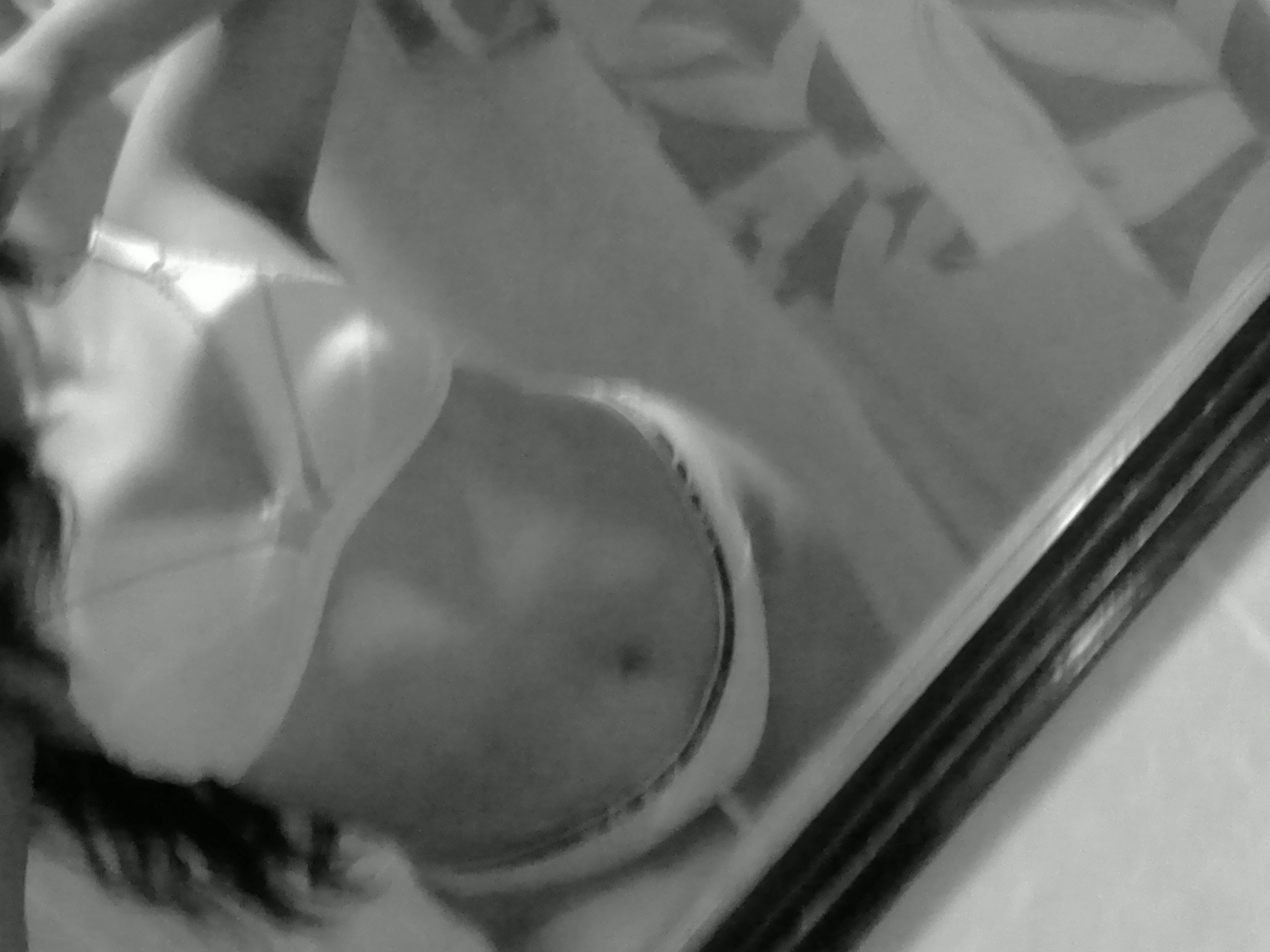 Playboy bunny OnlyFans