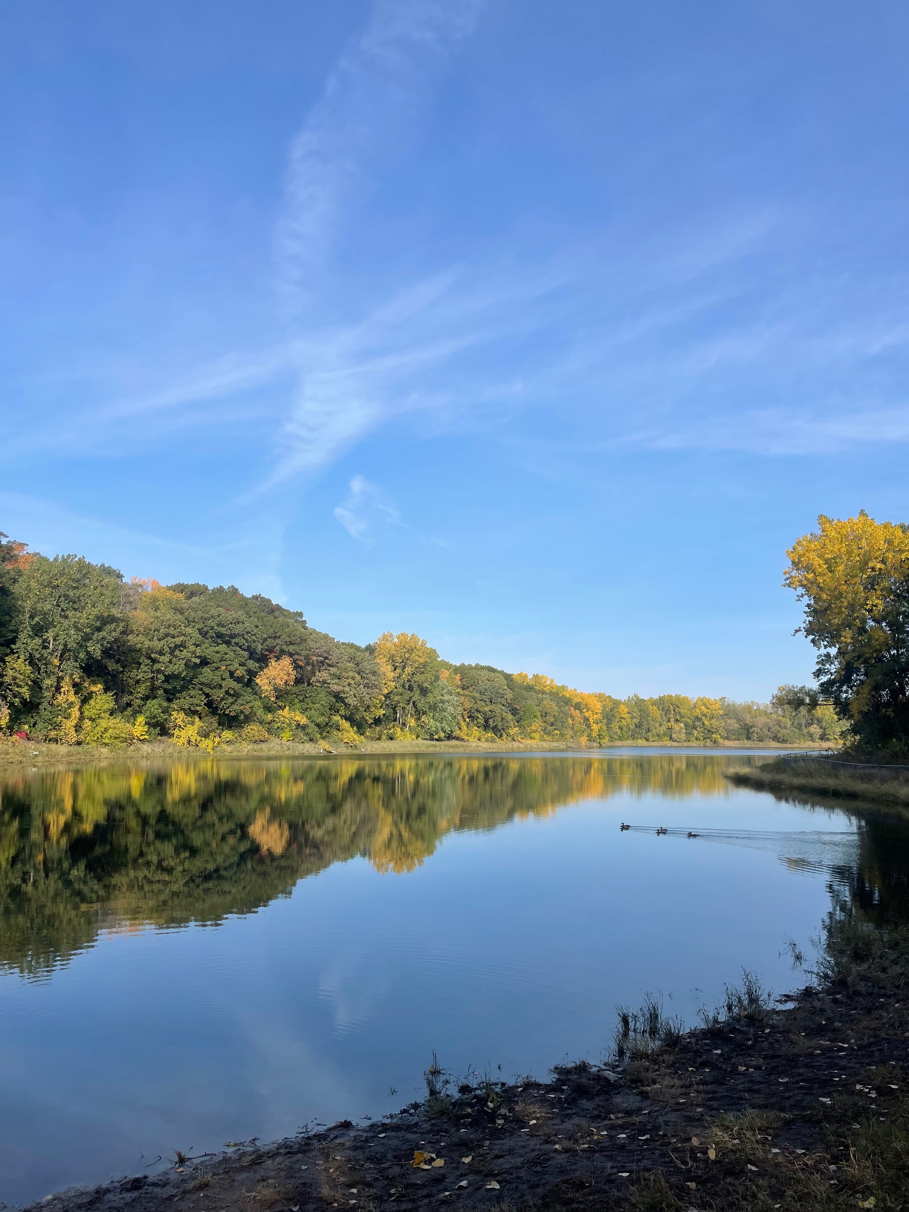 Toe Beans on the Paws OnlyFans