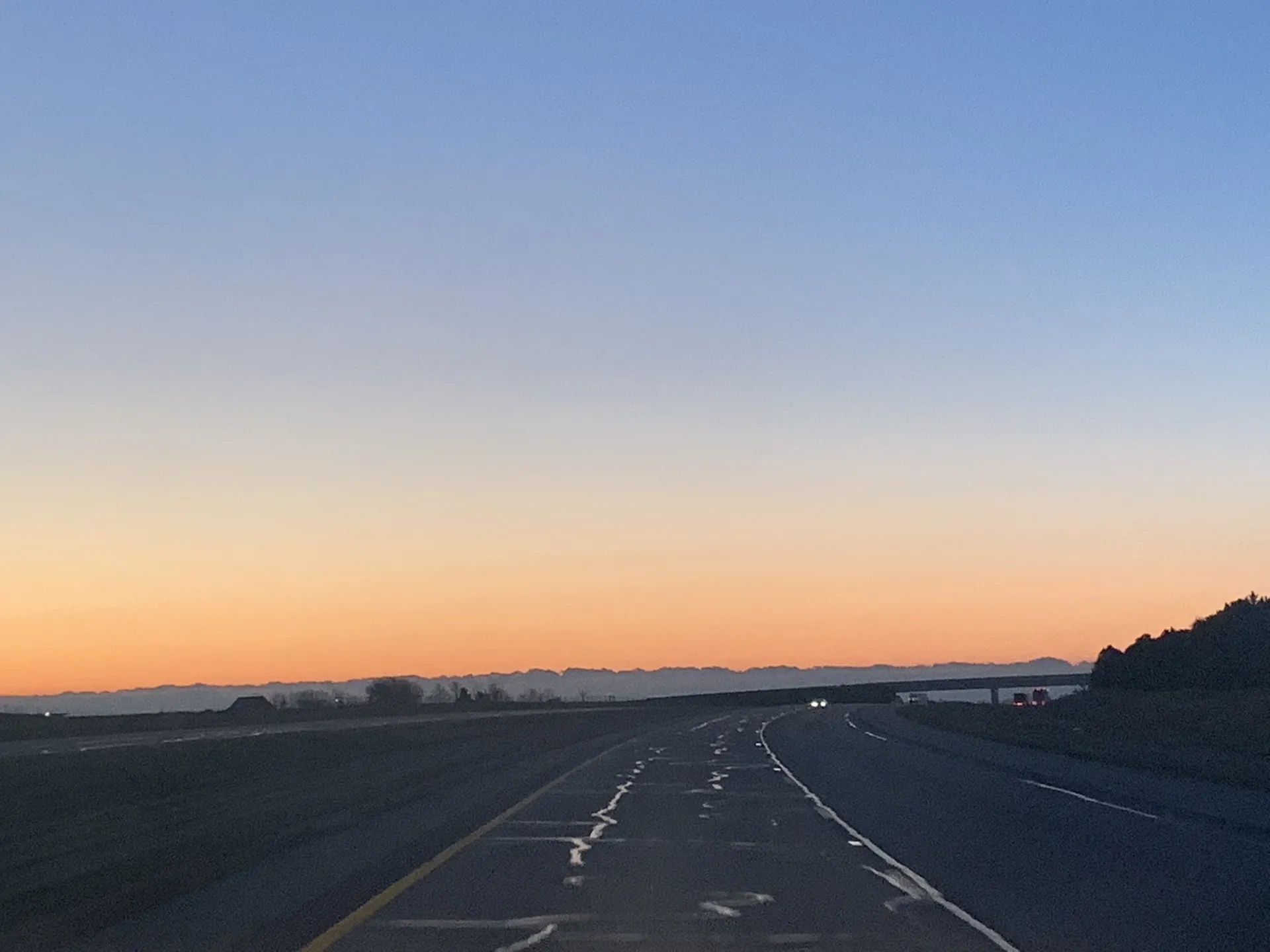 Toe Beans on the Paws OnlyFans header