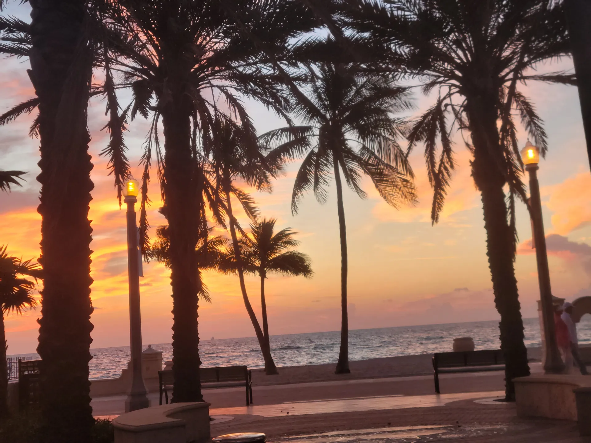 Asian doll OnlyFans header