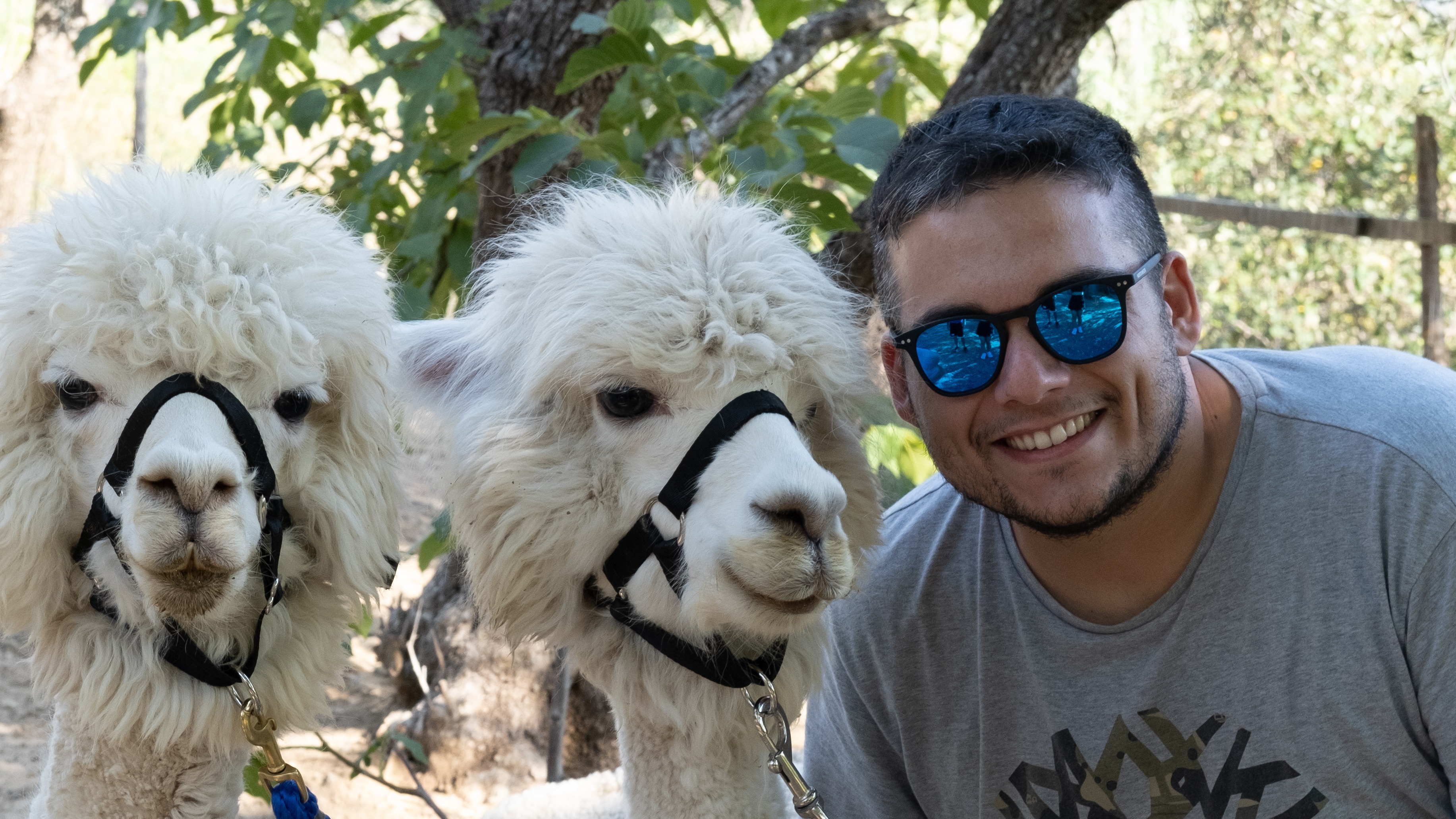 Roberto OnlyFans header