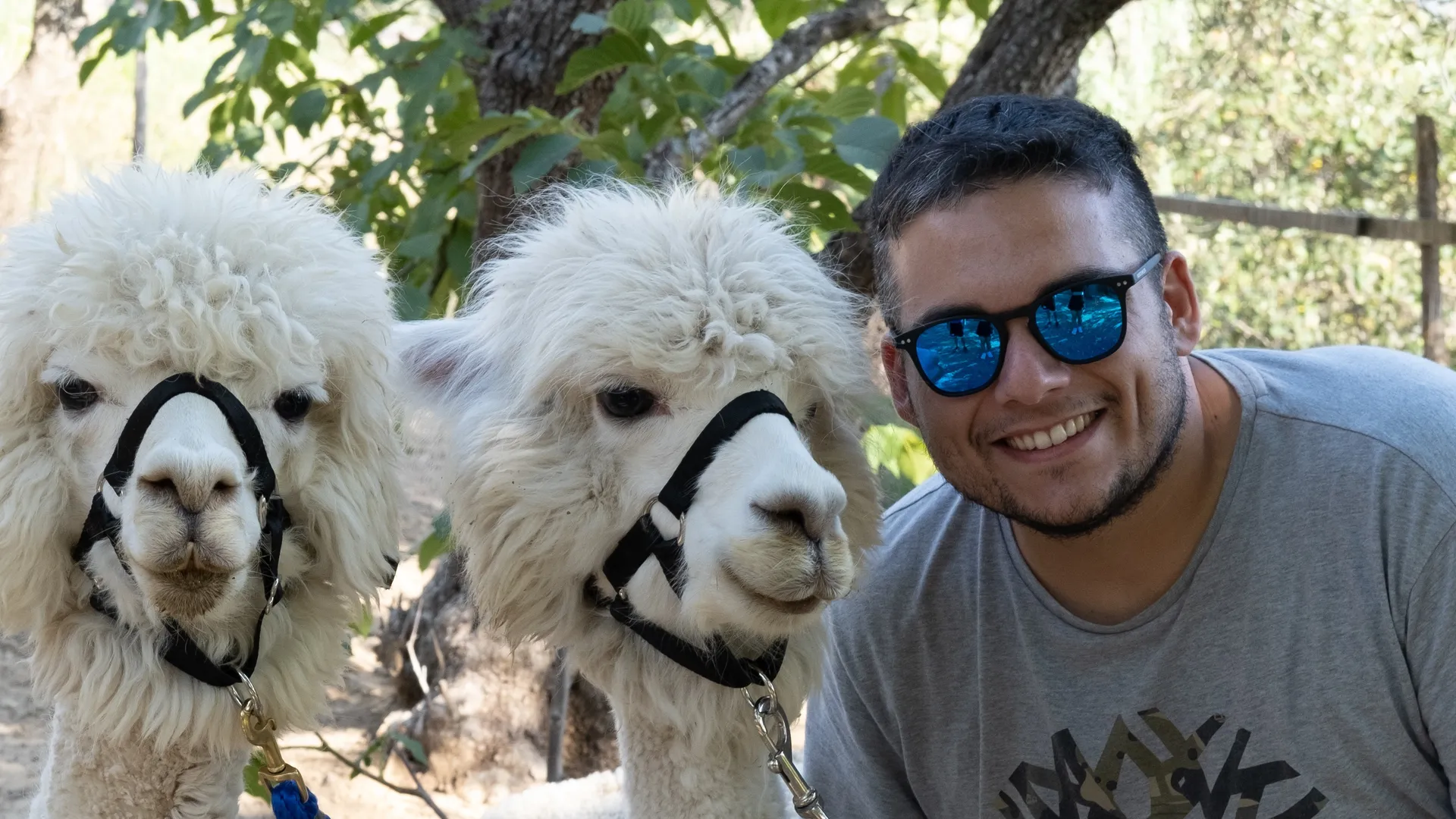 Roberto OnlyFans header