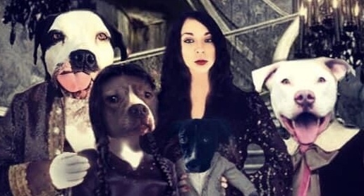 Xandra OnlyFans header