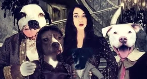 Xandra OnlyFans header