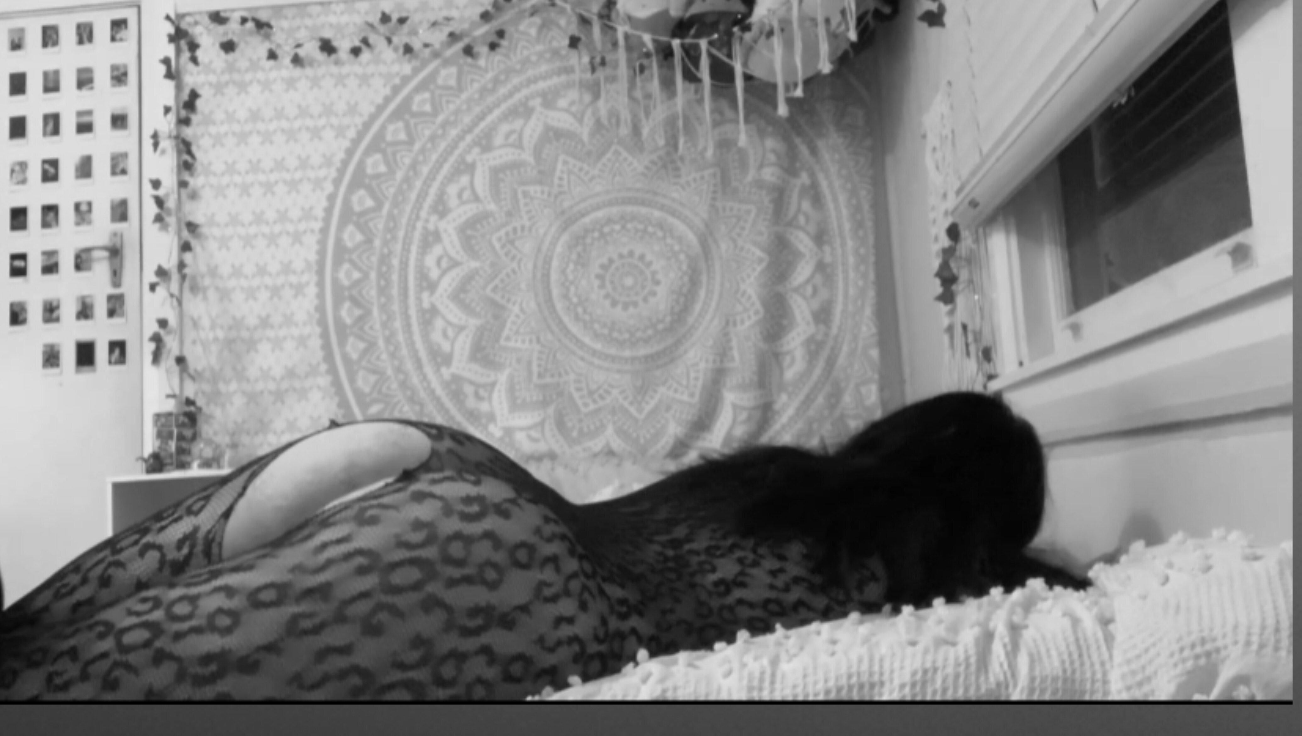 birdiex OnlyFans header