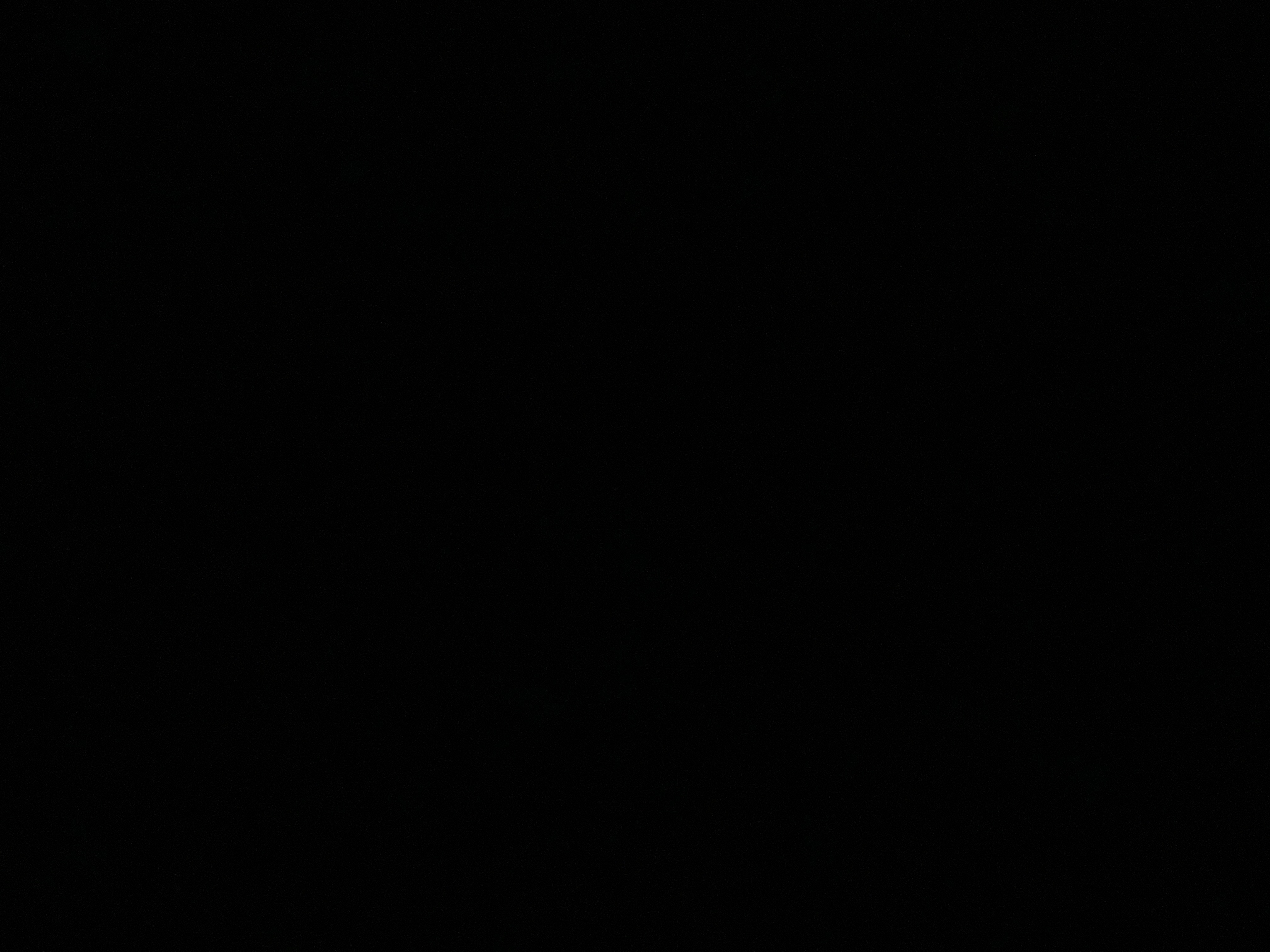 nina OnlyFans header