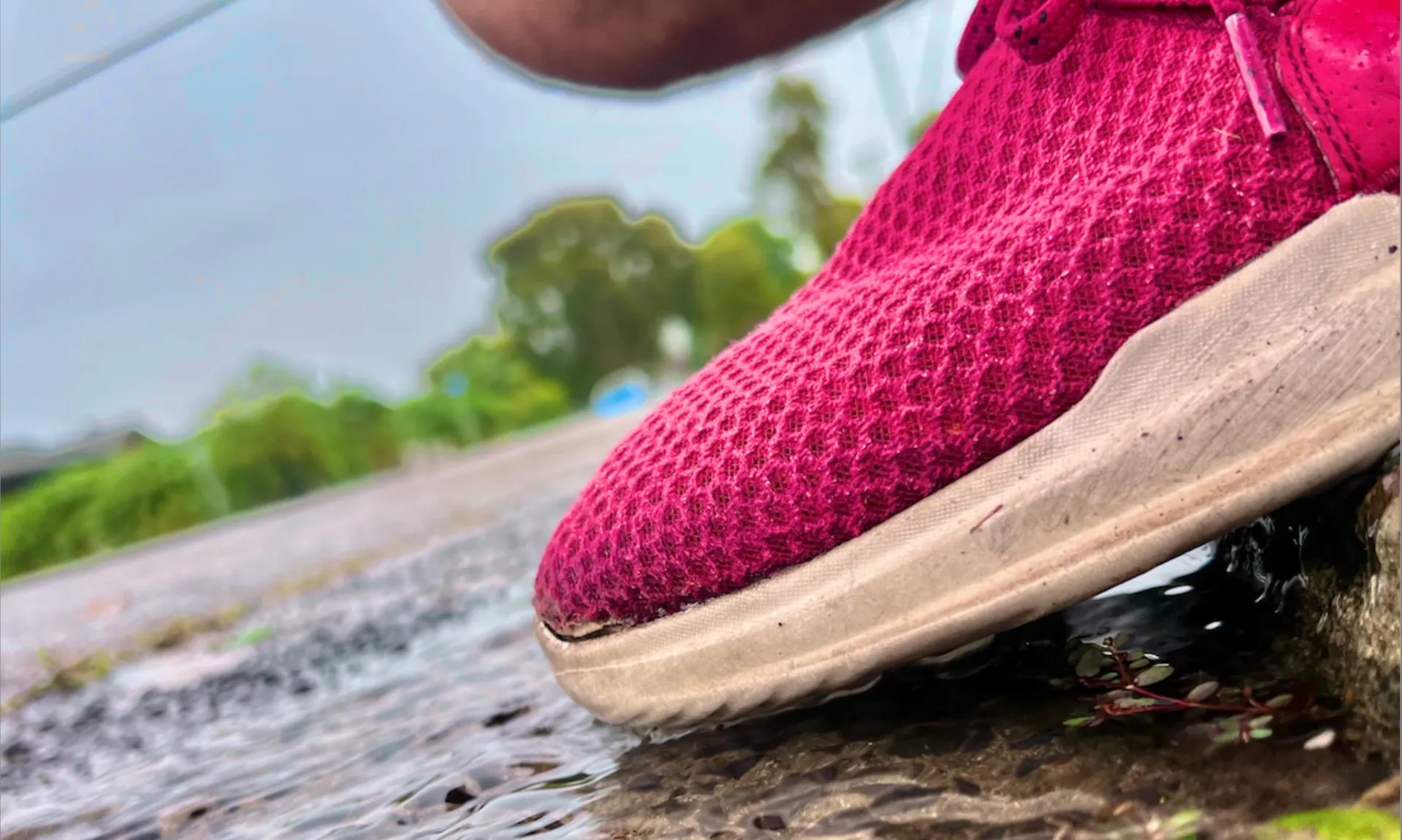 ONLYZIGGY OnlyFans header