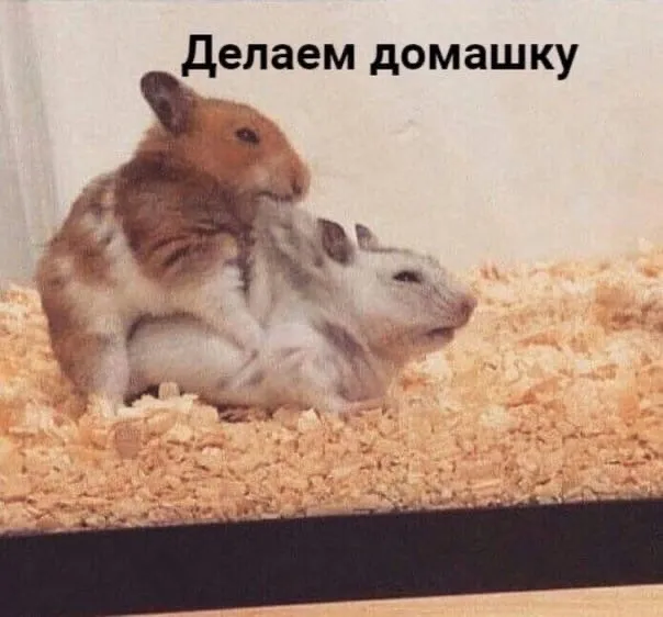 Onostasisa OnlyFans header