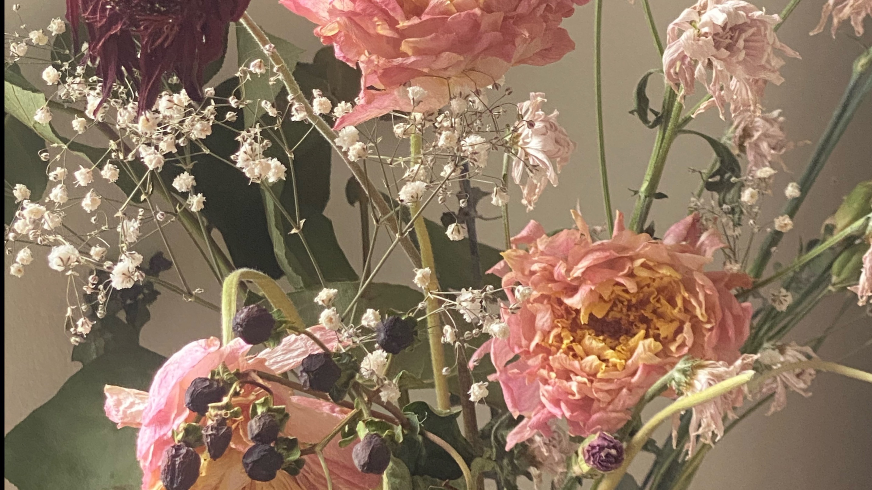 Onos OnlyFans header