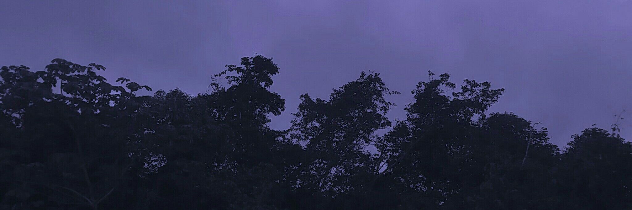 Hunter Rose OnlyFans header