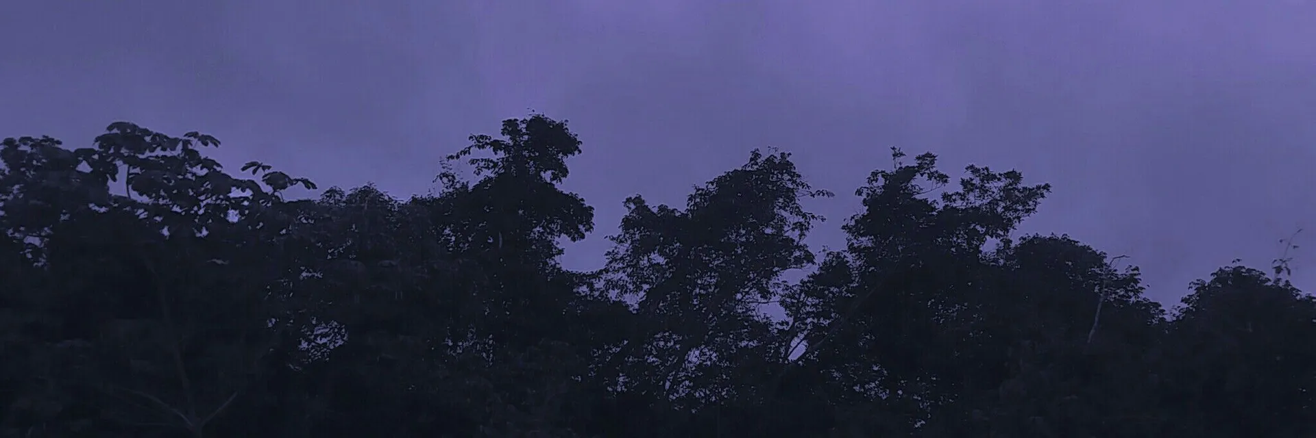 Hunter Rose OnlyFans header