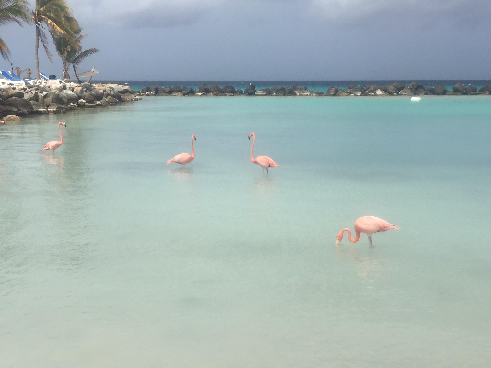 Lexi OnlyFans header