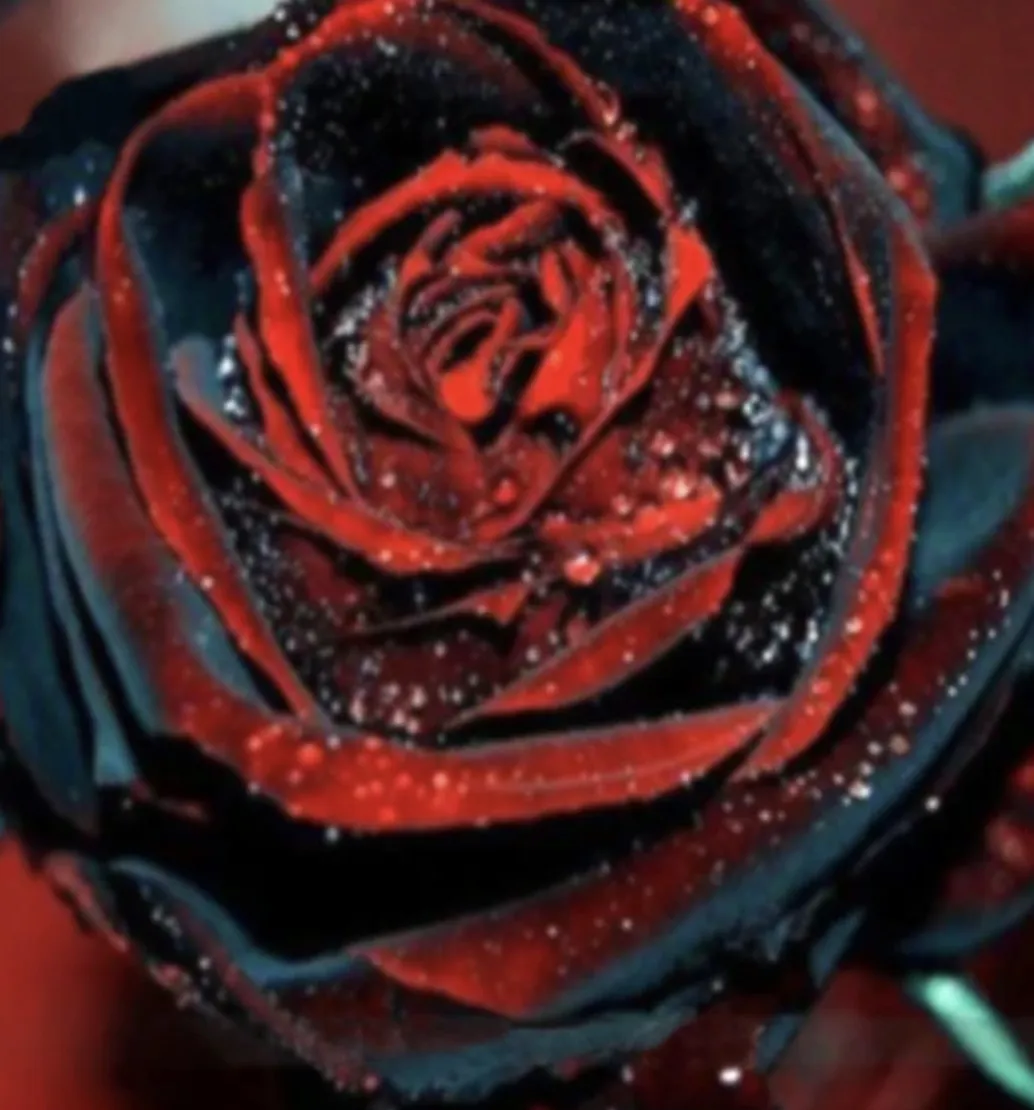 Onxy_Rose OnlyFans header