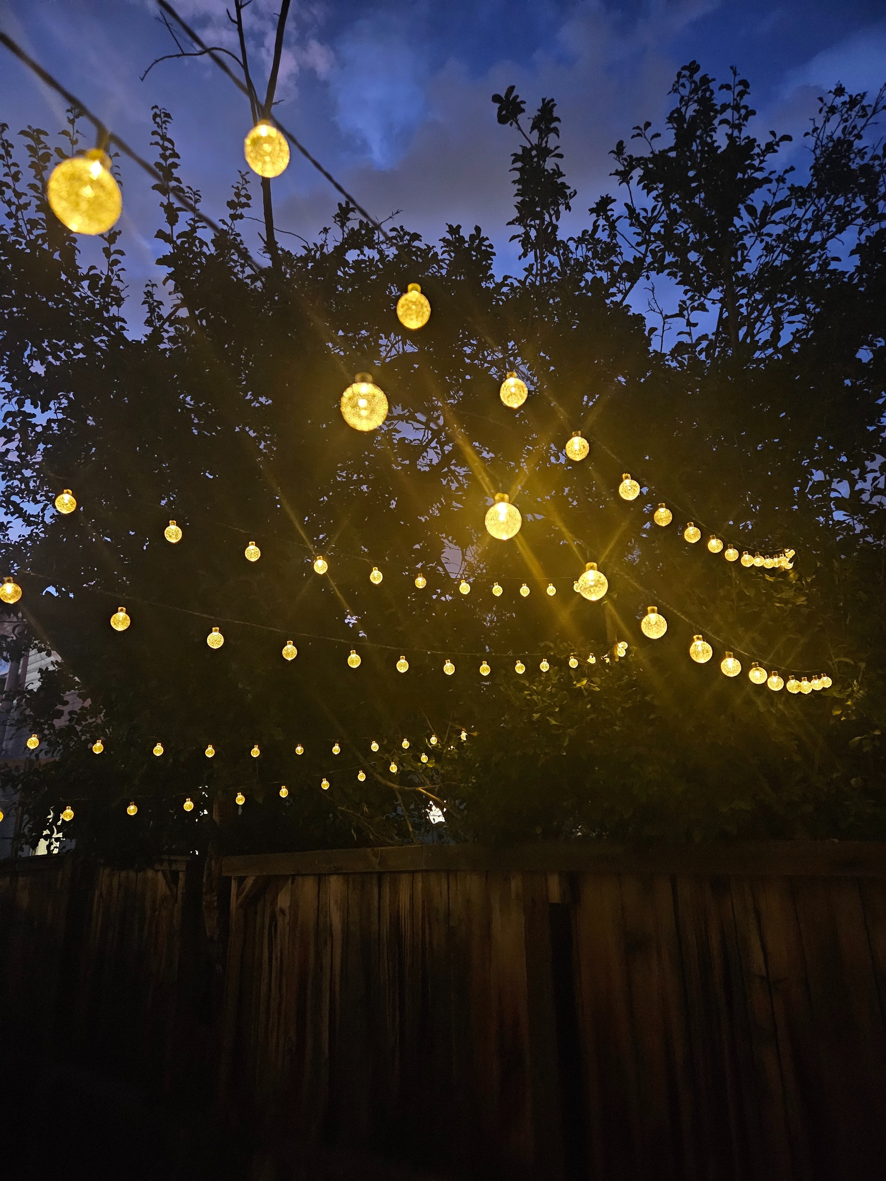 Onya OnlyFans header