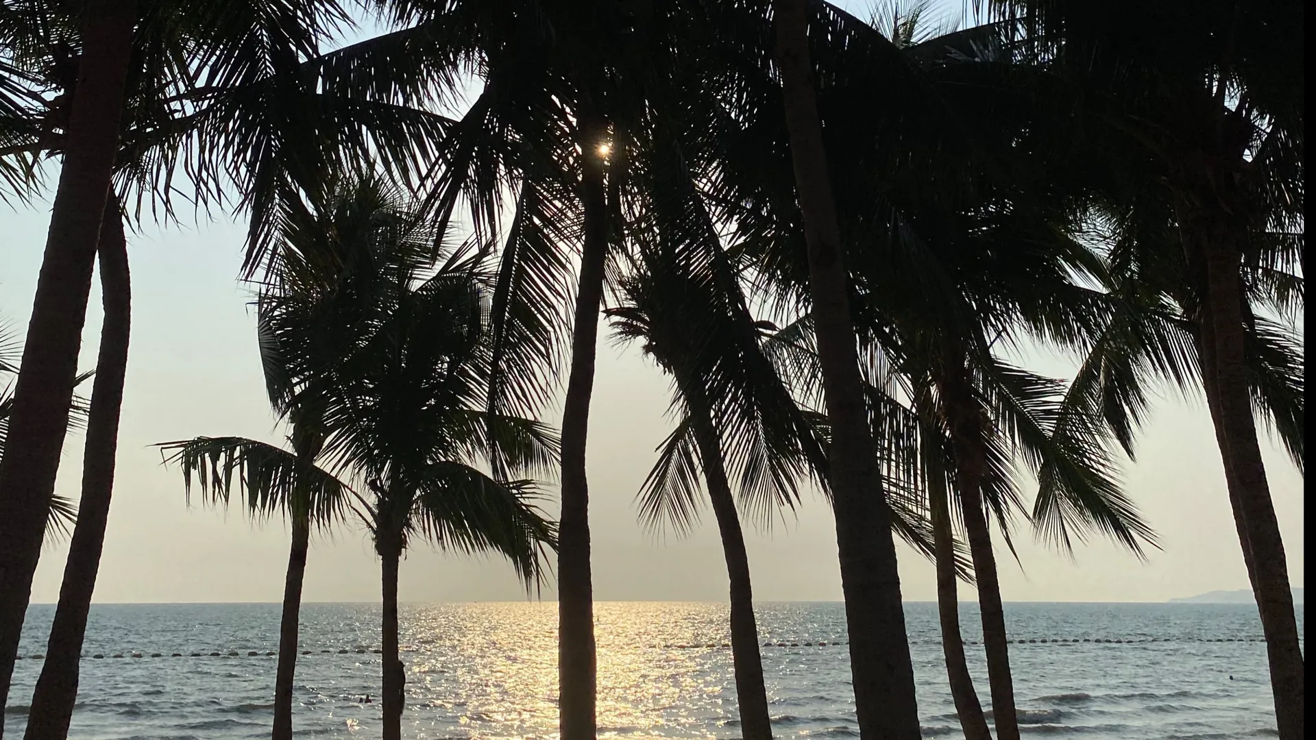 Babe 🐰 *Late Reply* 🥺 OnlyFans header