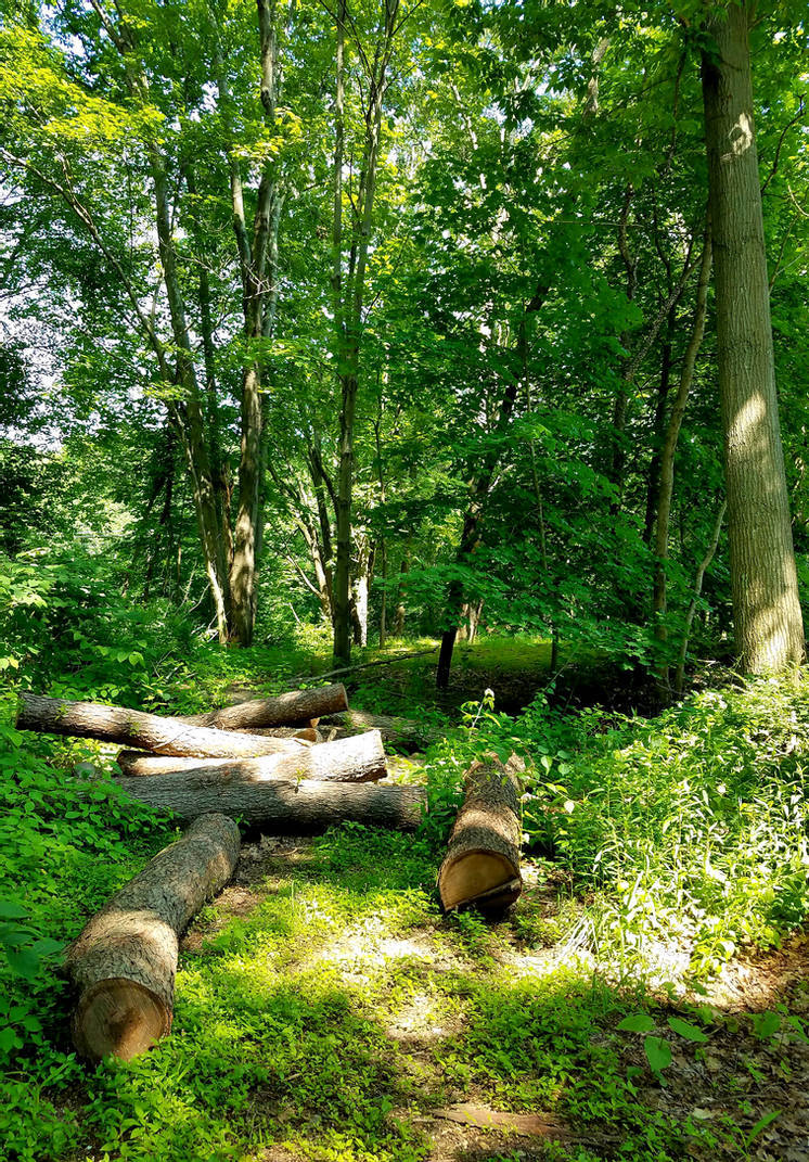 Onyx Rhyven's Page OnlyFans header