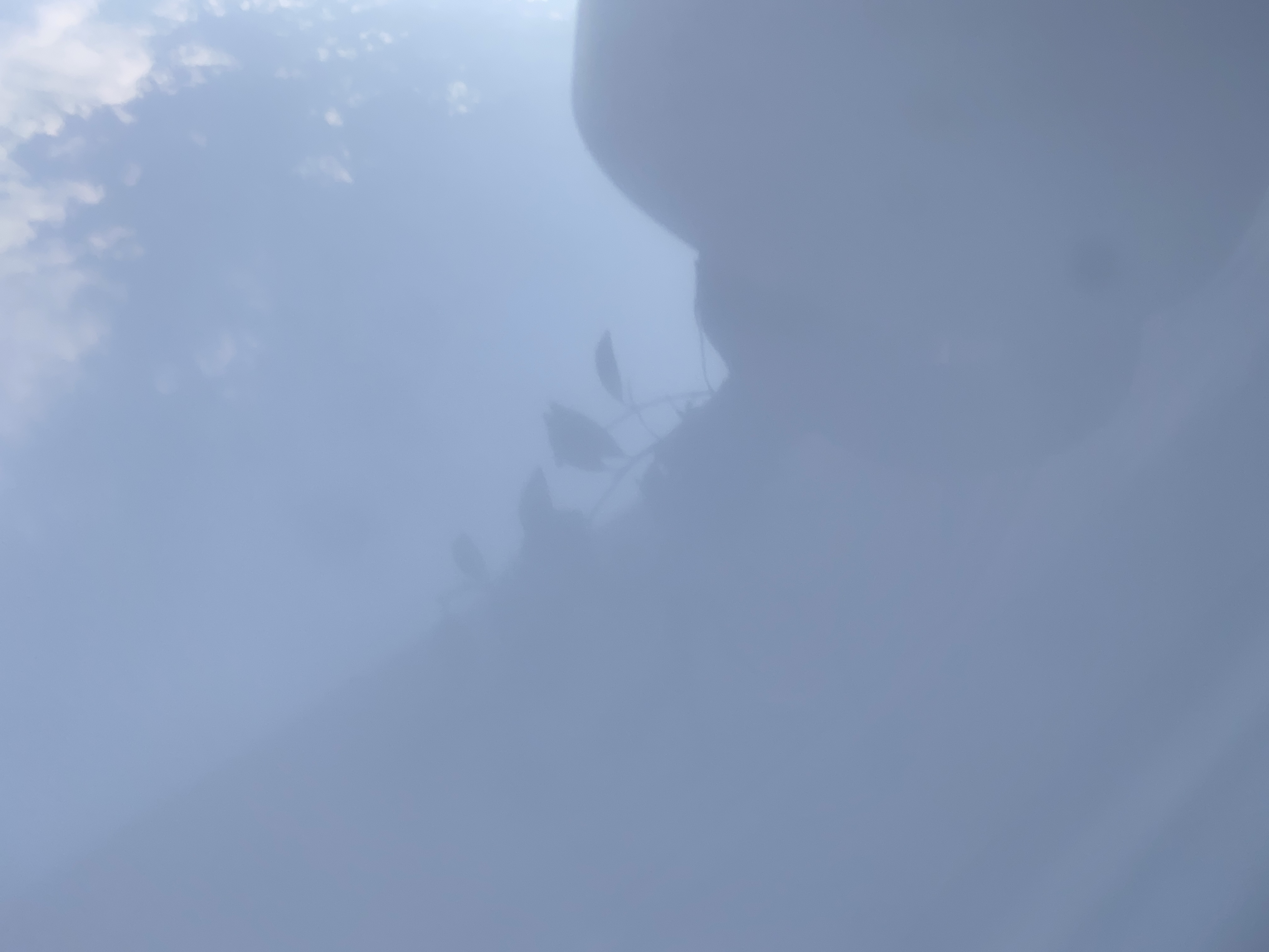 Onyx OnlyFans header