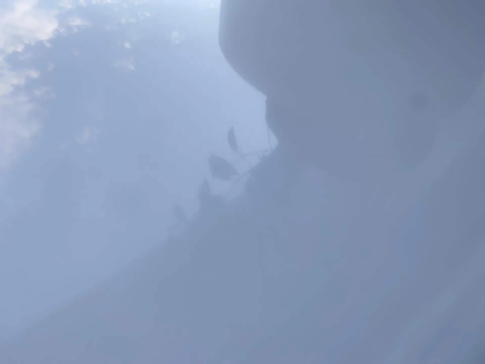 Onyx OnlyFans header