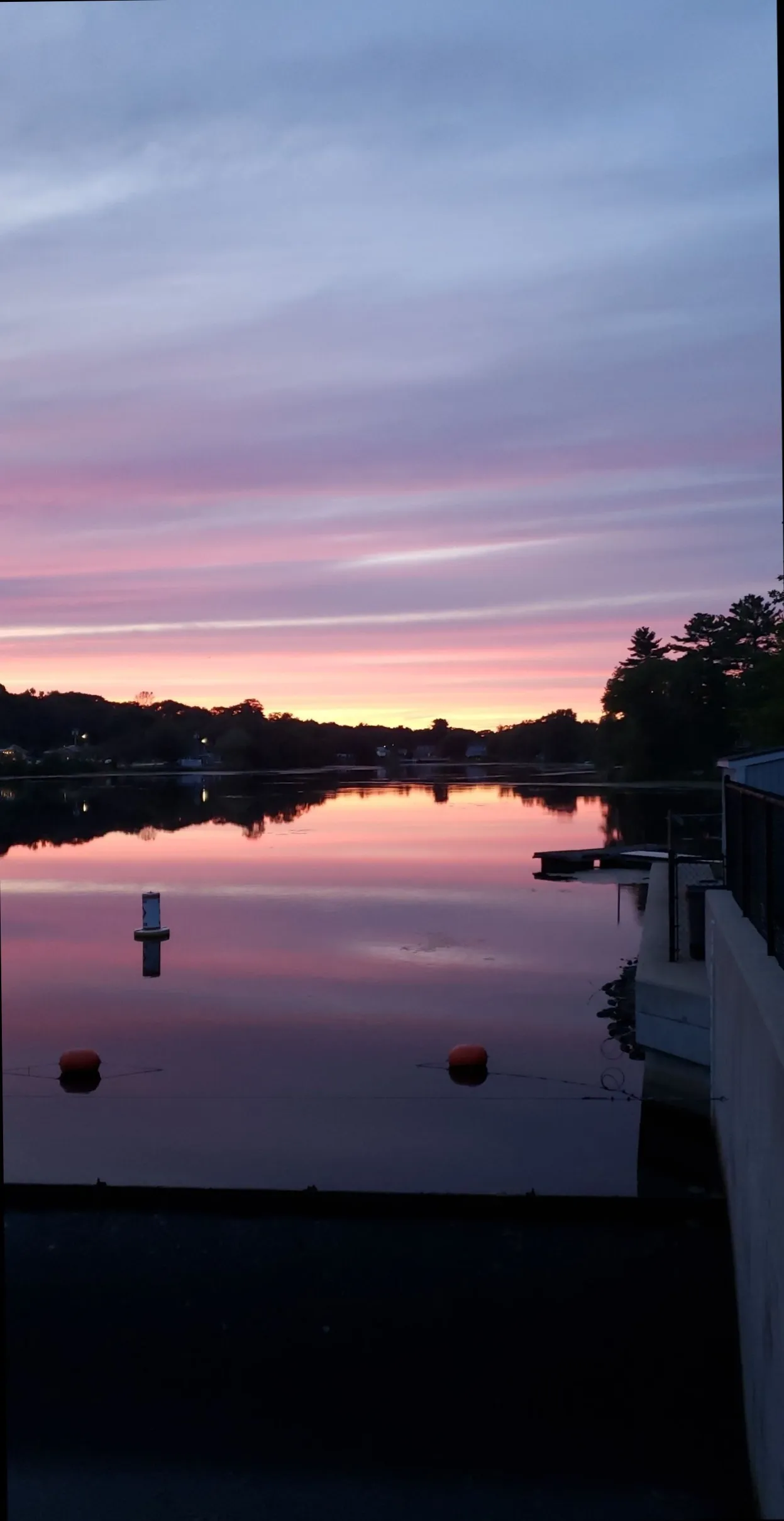 Lyss OnlyFans header