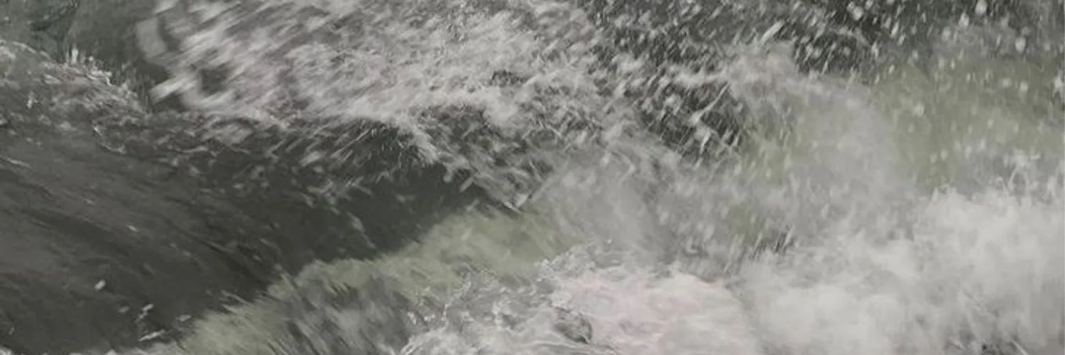 Onyx A OnlyFans header