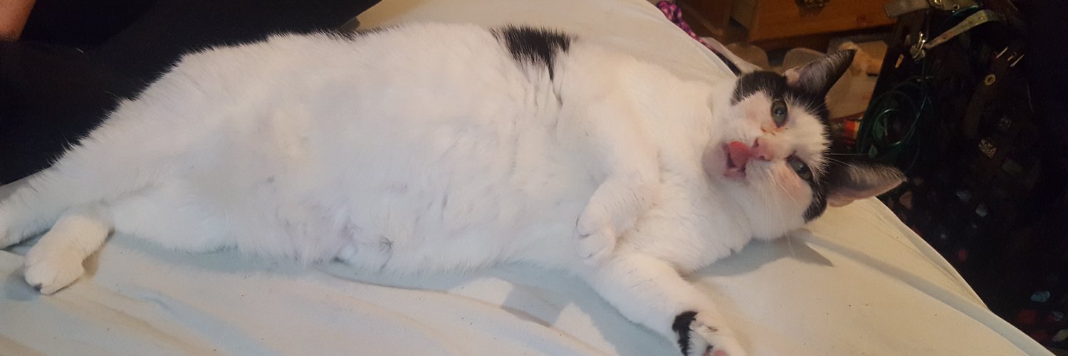 Ali McCord OnlyFans header