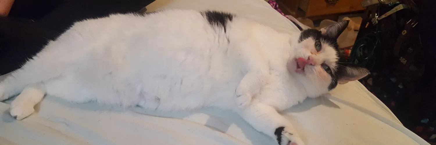 Ali McCord OnlyFans header