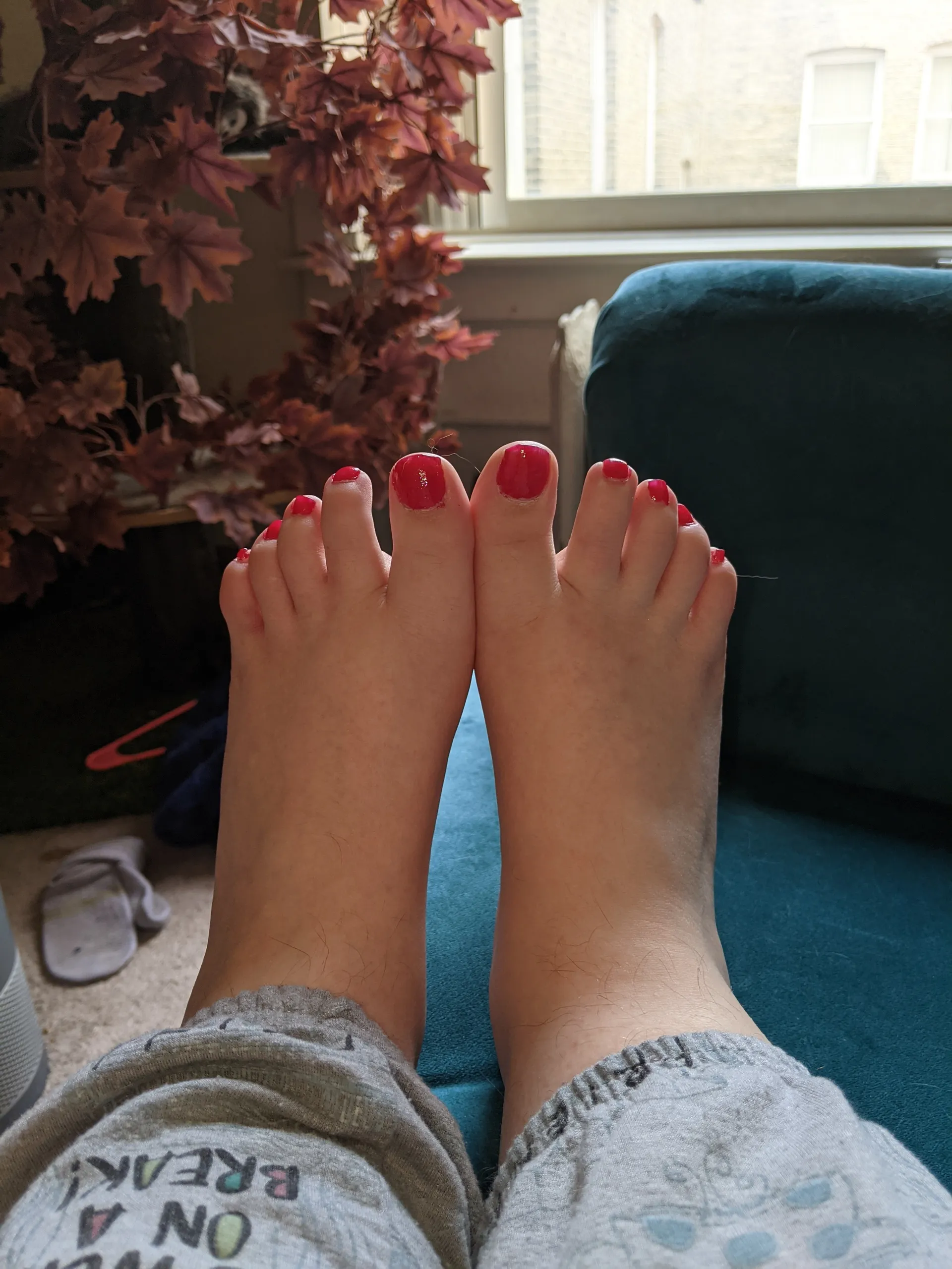 Onyx OnlyFans header