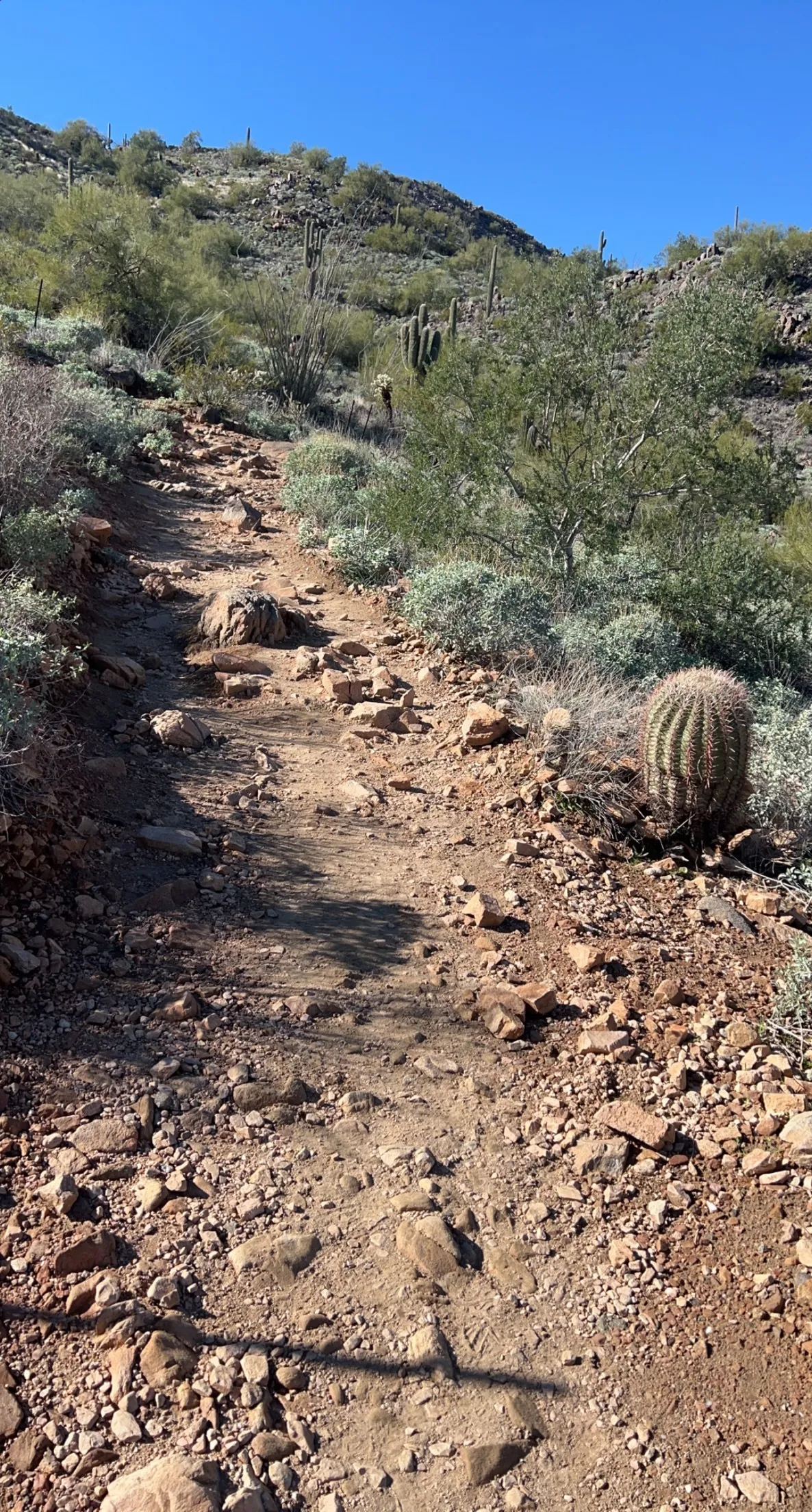 OnyxSton3 OnlyFans header