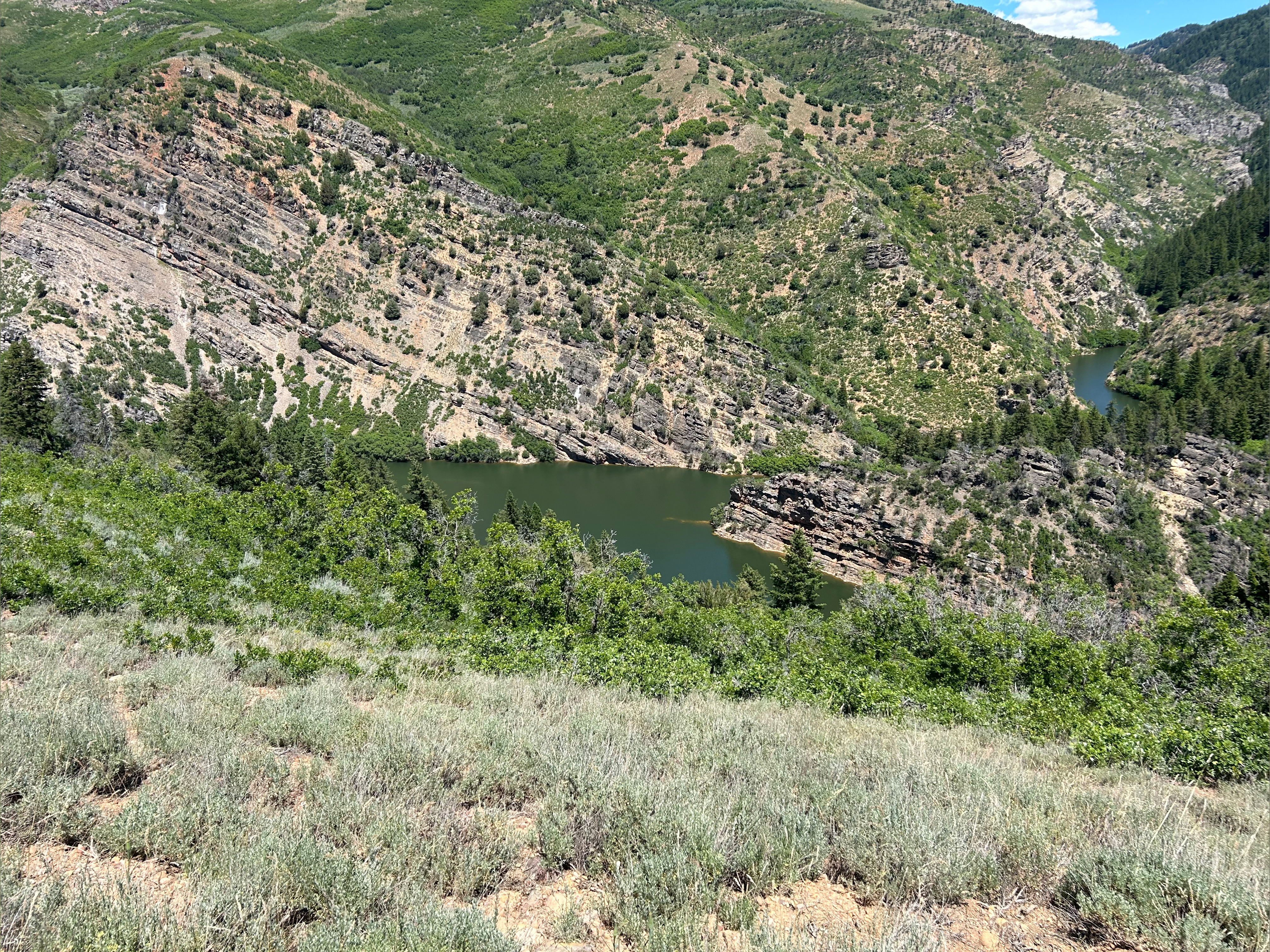 Onyxx Belladonna OnlyFans header