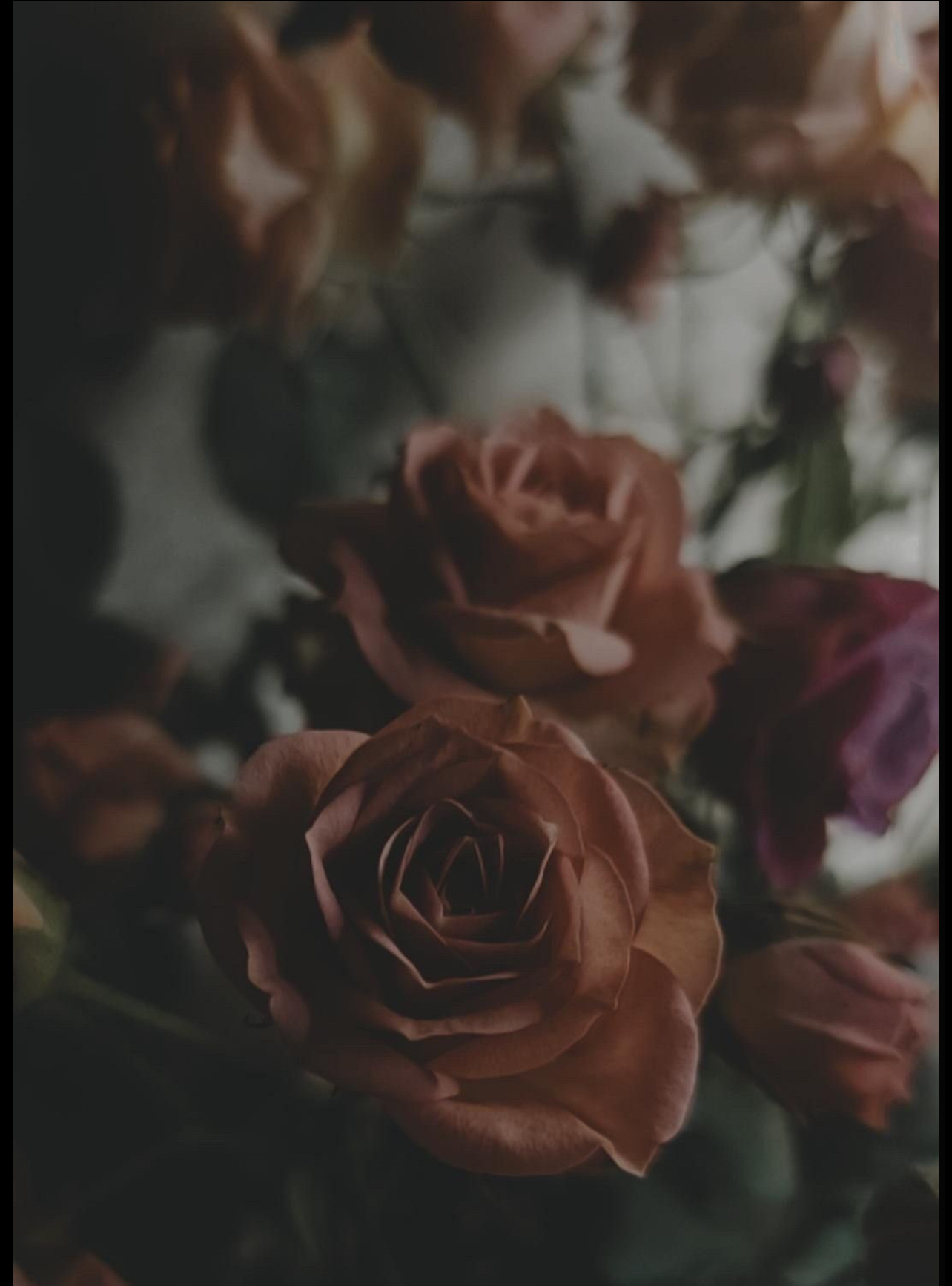 Onyx Rose OnlyFans header