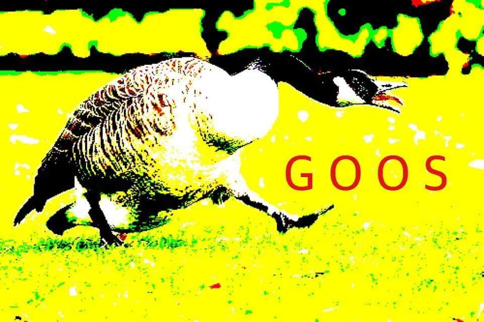 krimsonking OnlyFans header