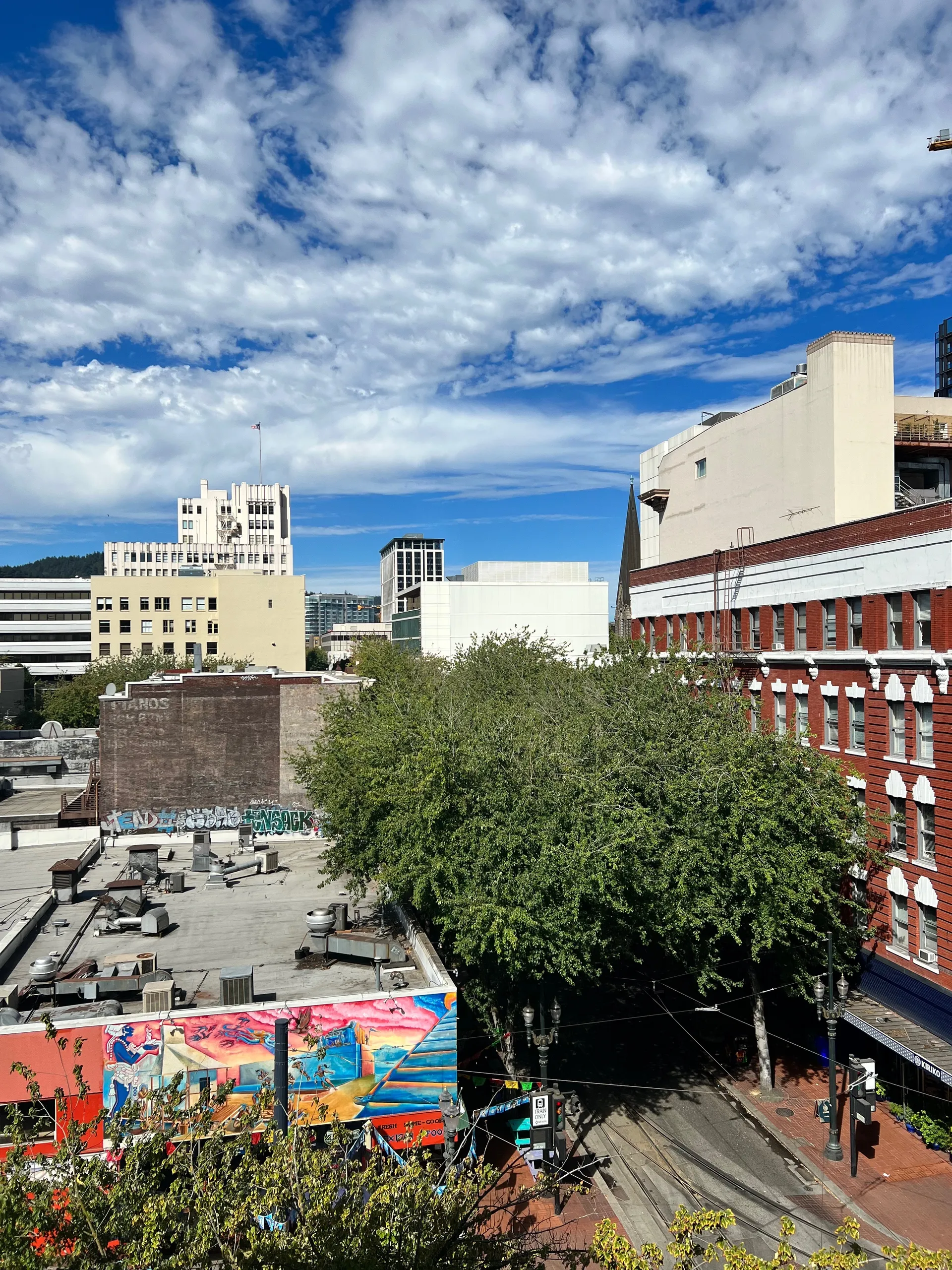 Eliza Lane OnlyFans header