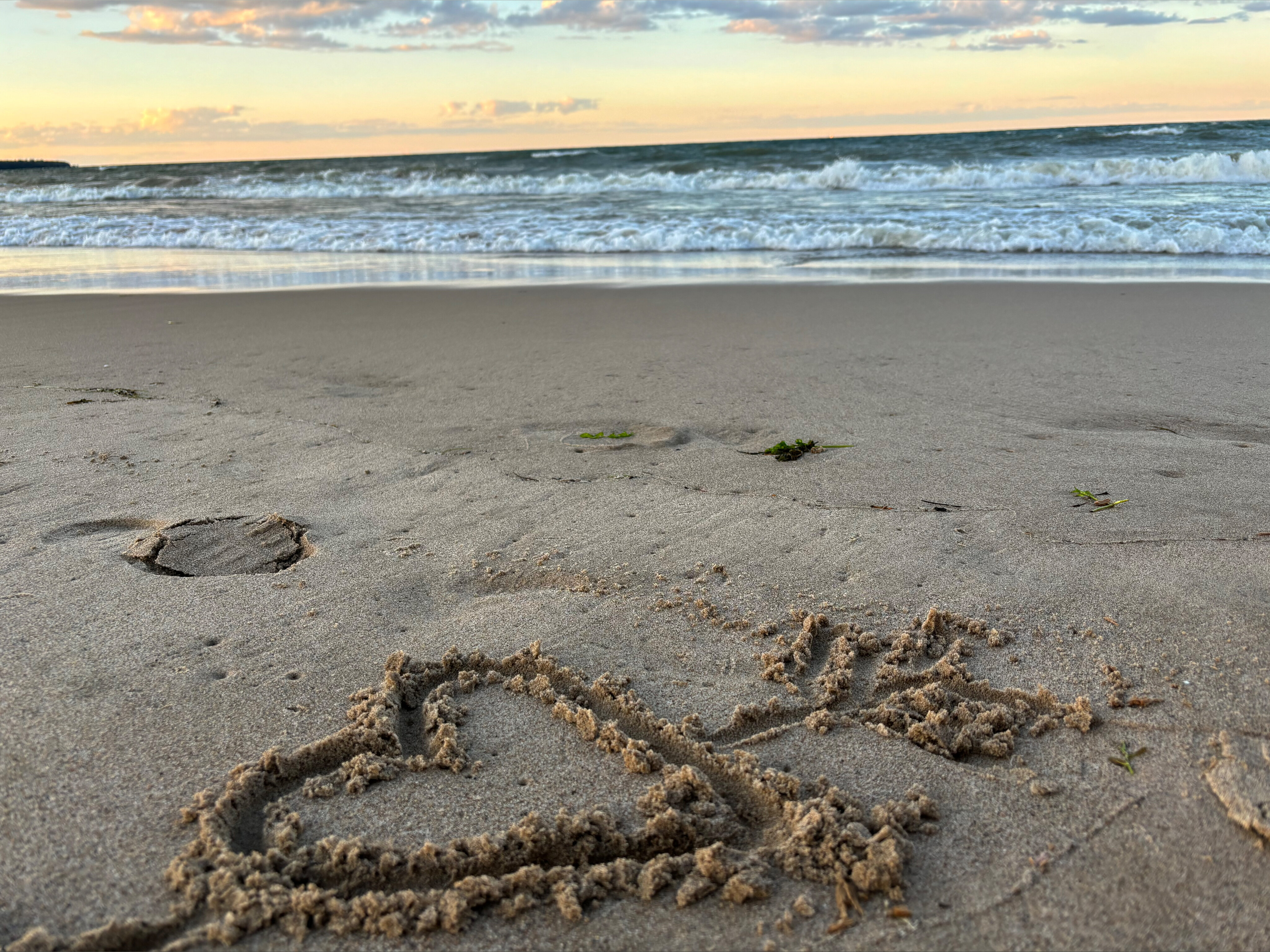 oohKole OnlyFans header