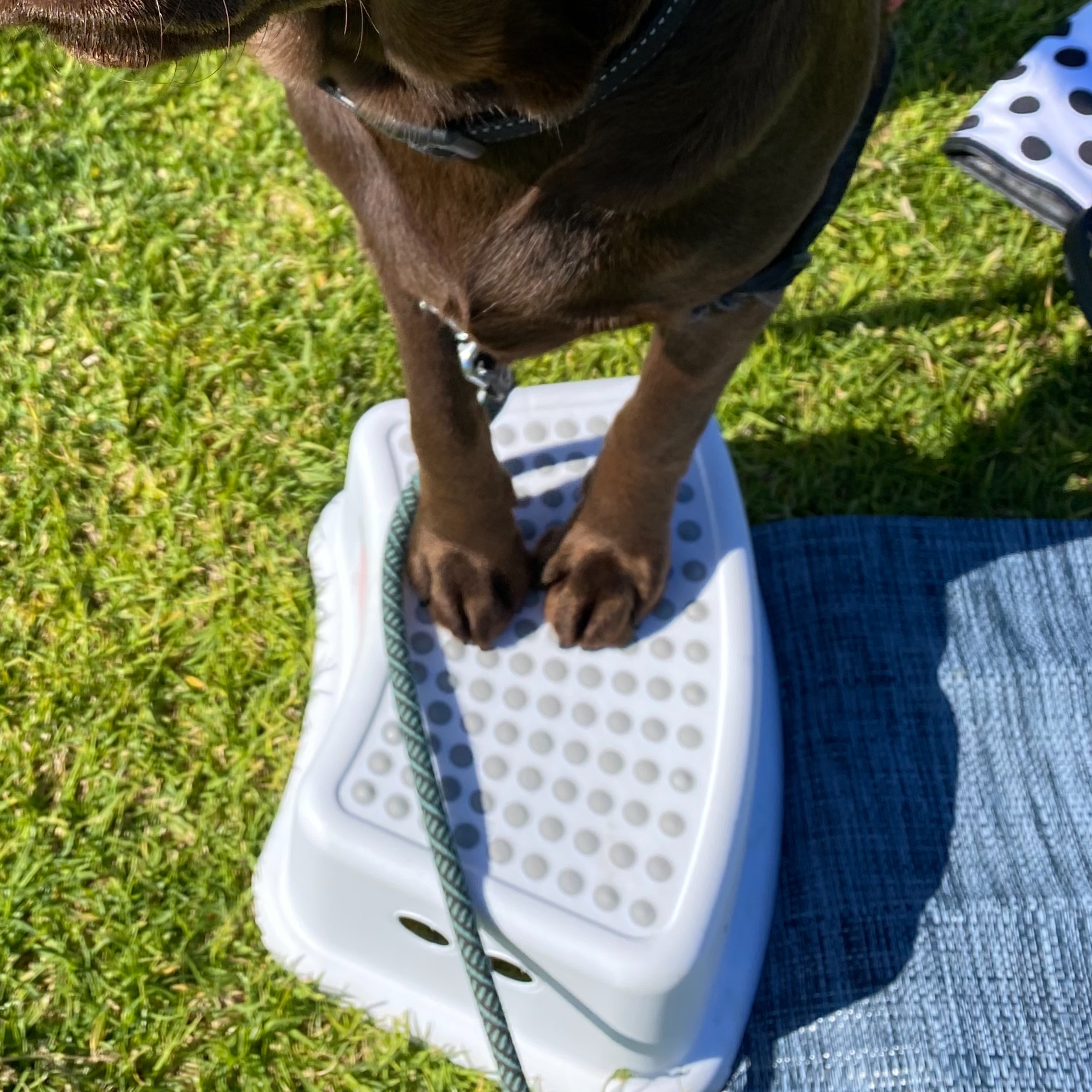 OnlyFeet OnlyFans header