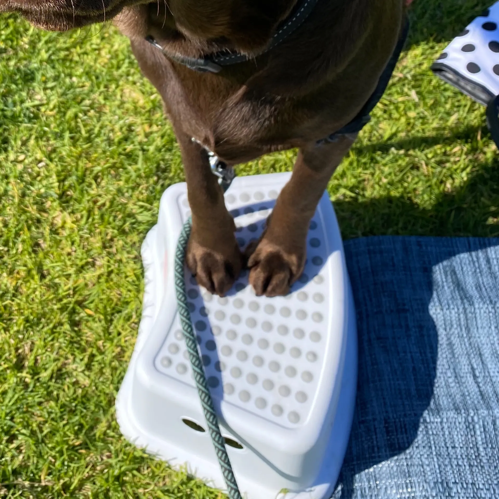 OnlyFeet OnlyFans header