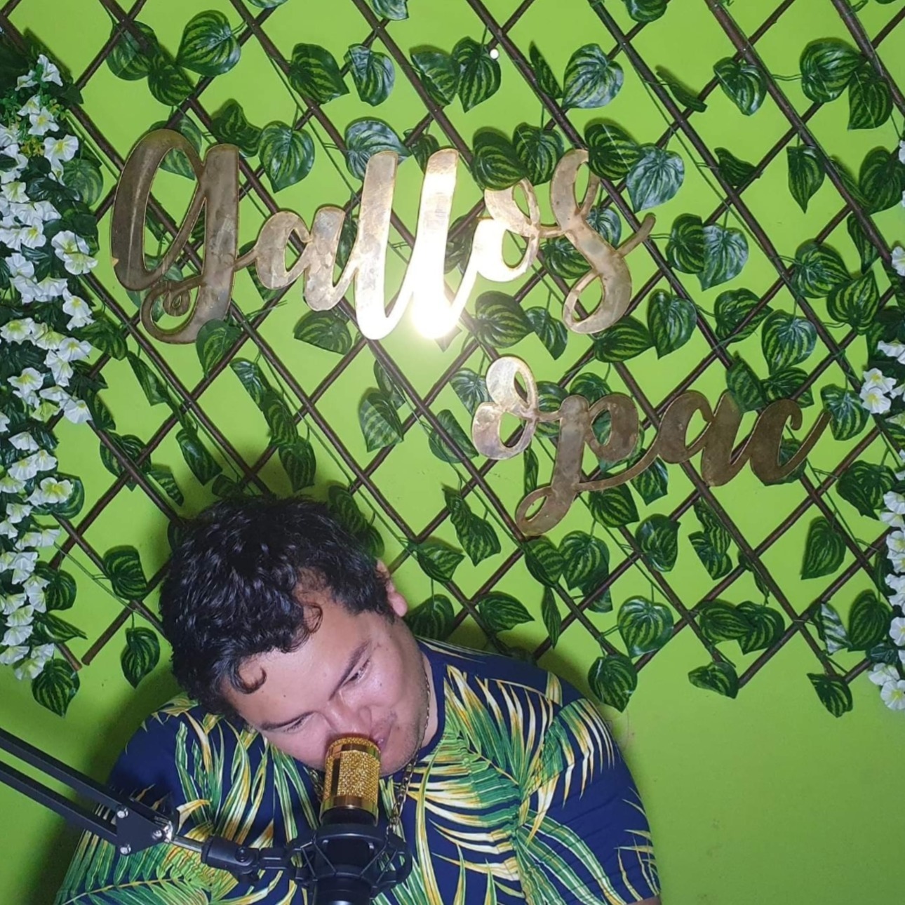 Habla Bien Opac OnlyFans