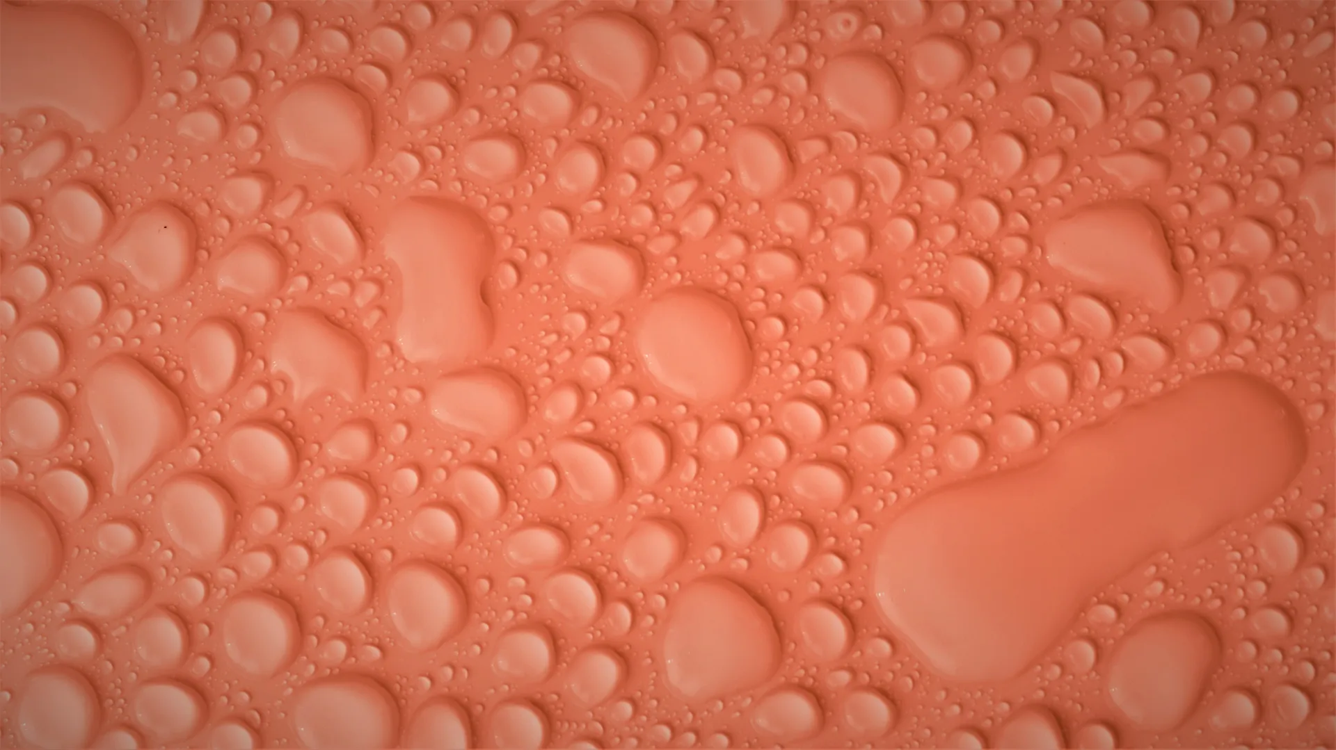 Opai Opai OnlyFans header