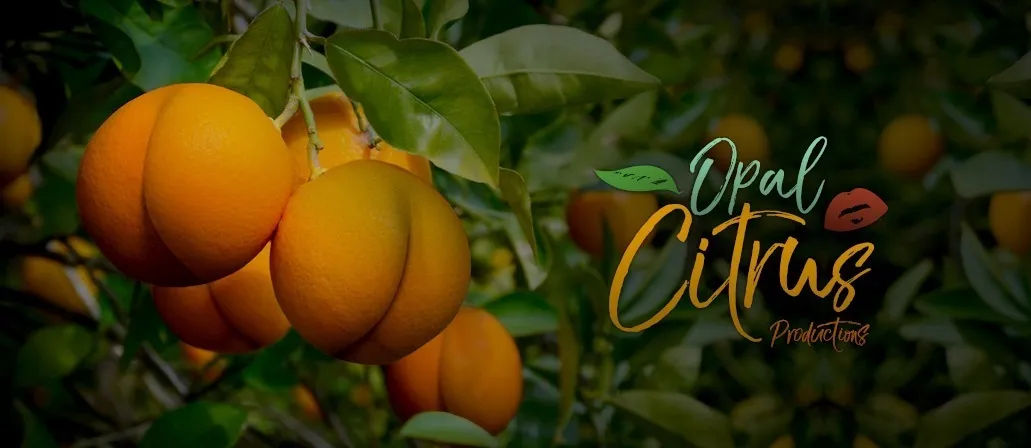 𝍖𝍖 Bare Opal 🍊 𝍖𝍖 OnlyFans header