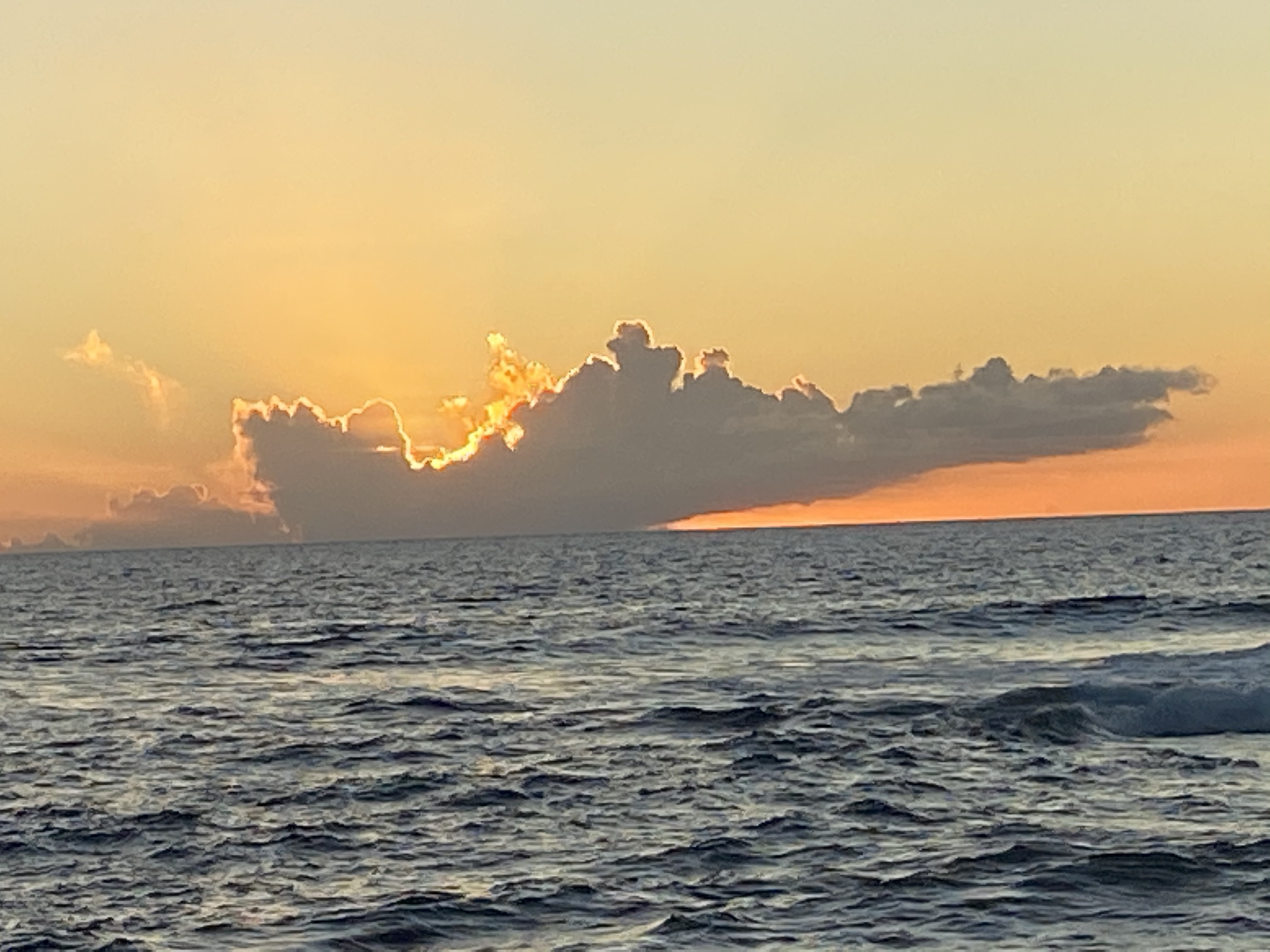 Opal OnlyFans header