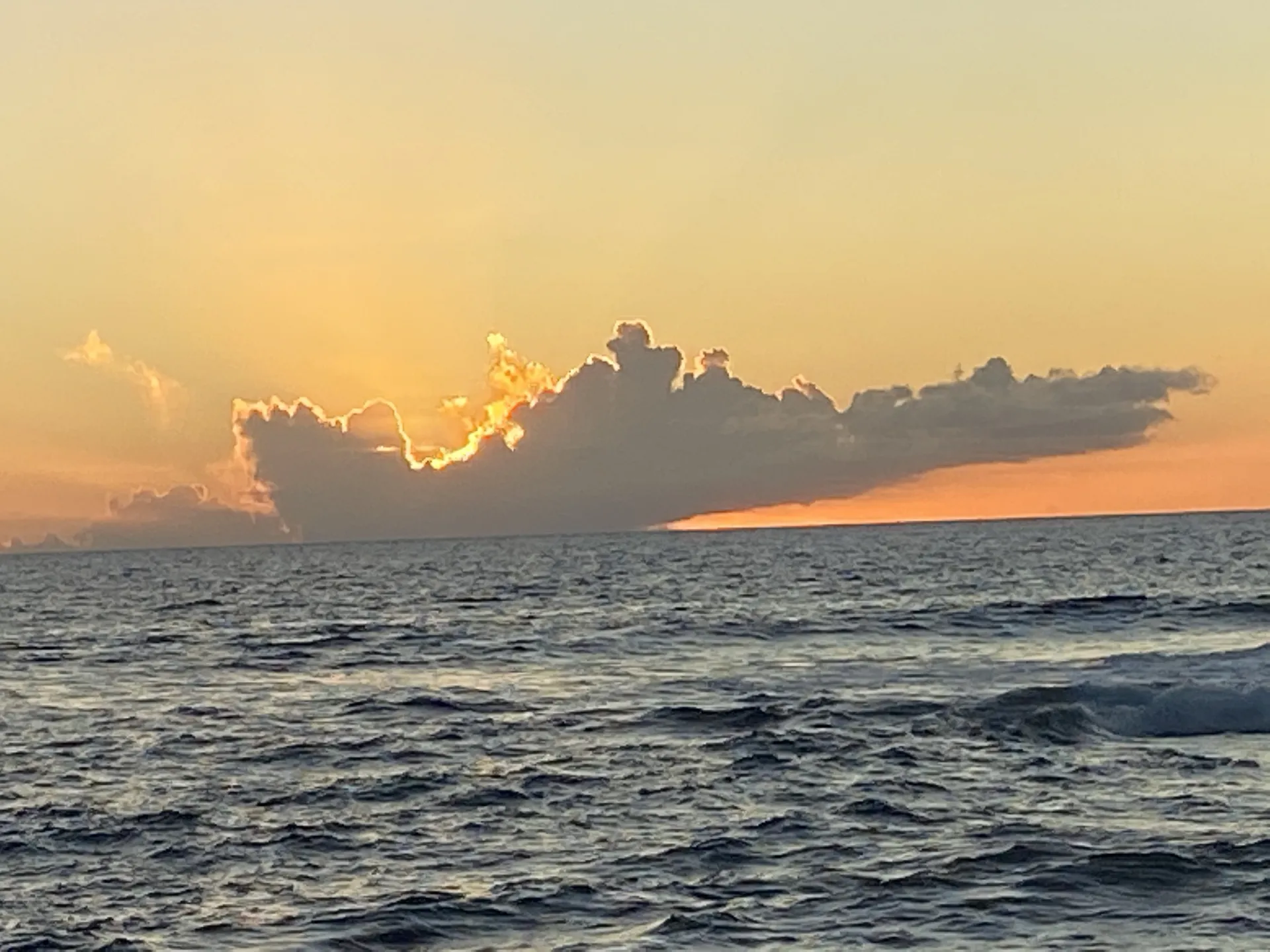 Opal OnlyFans header