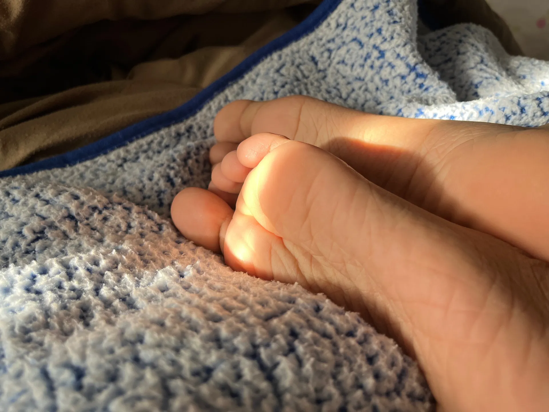 Opalescent OnlyFans header