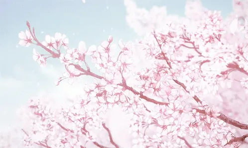 Opal OnlyFans header