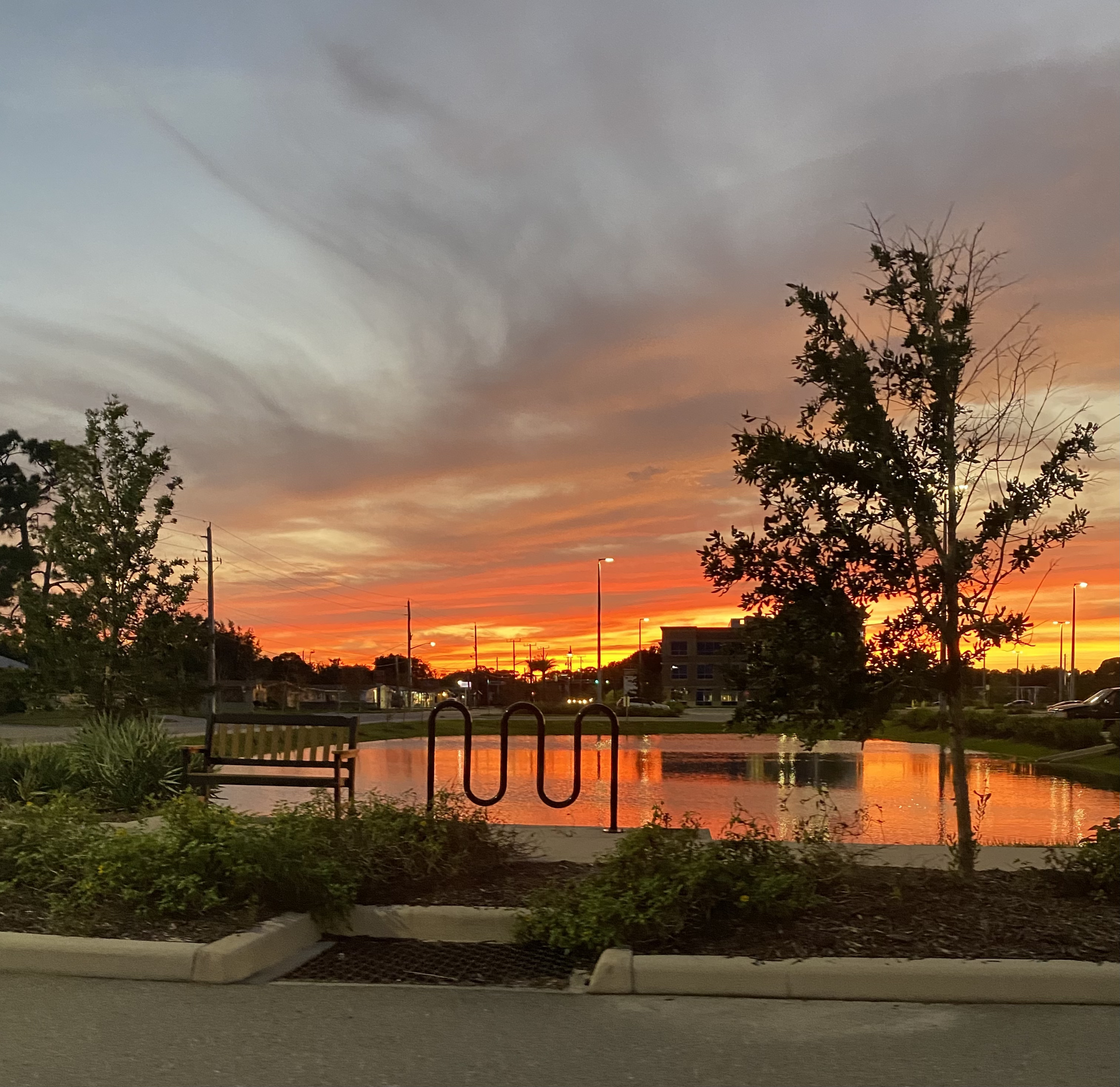 Opal OnlyFans header