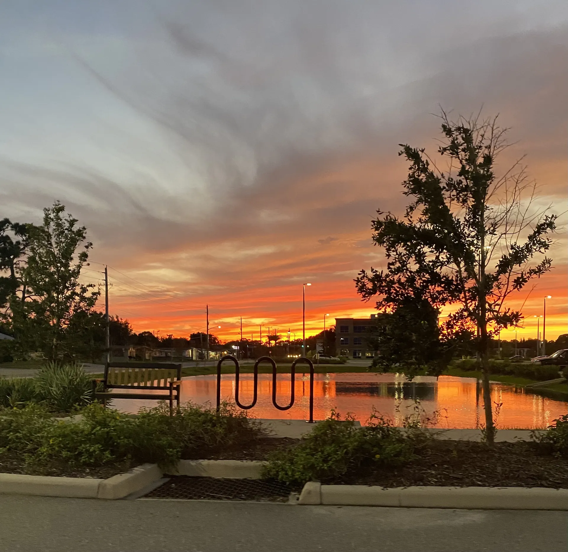 Opal OnlyFans header